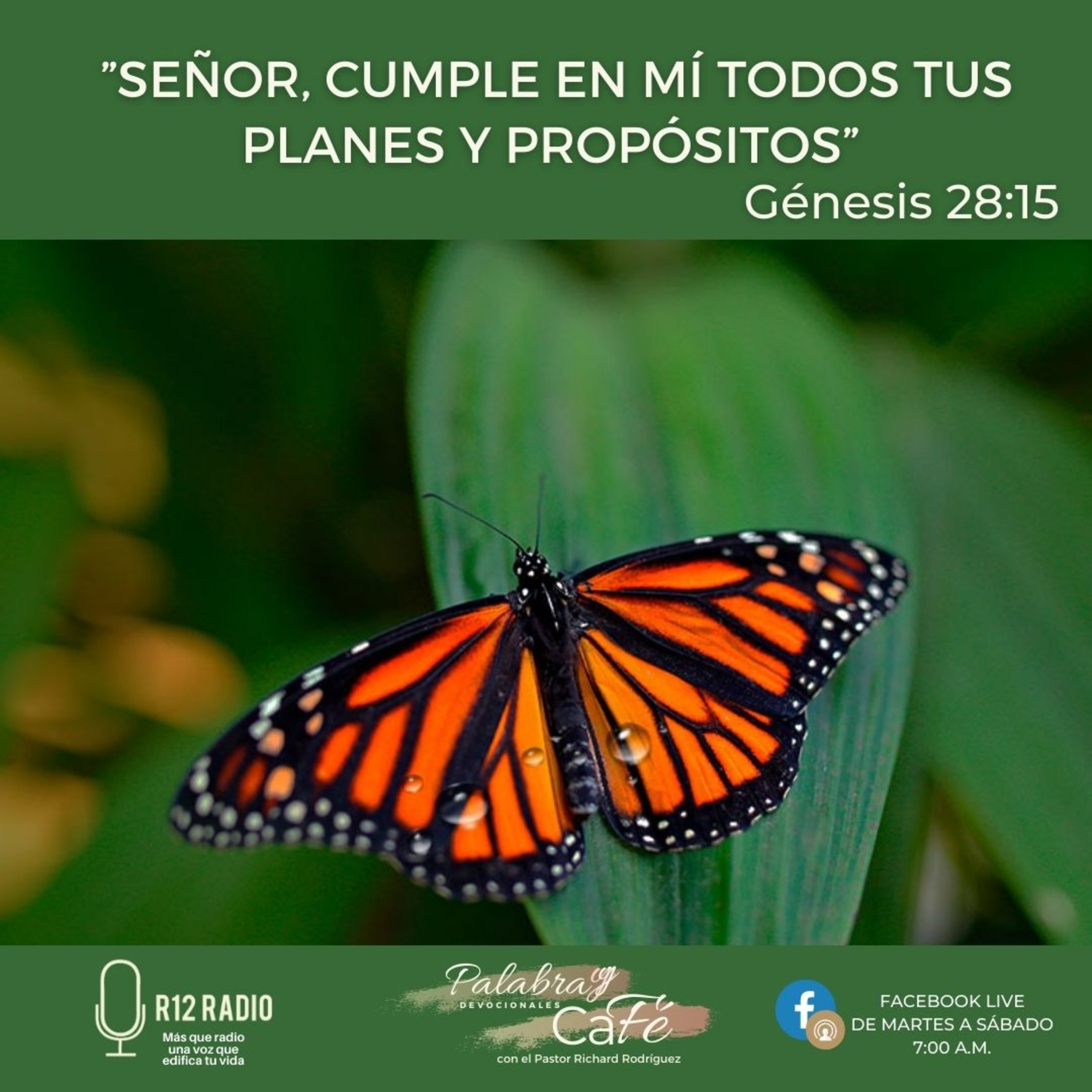 Señor, cumple en mí todos Tus planes y propósitos. episode artwork