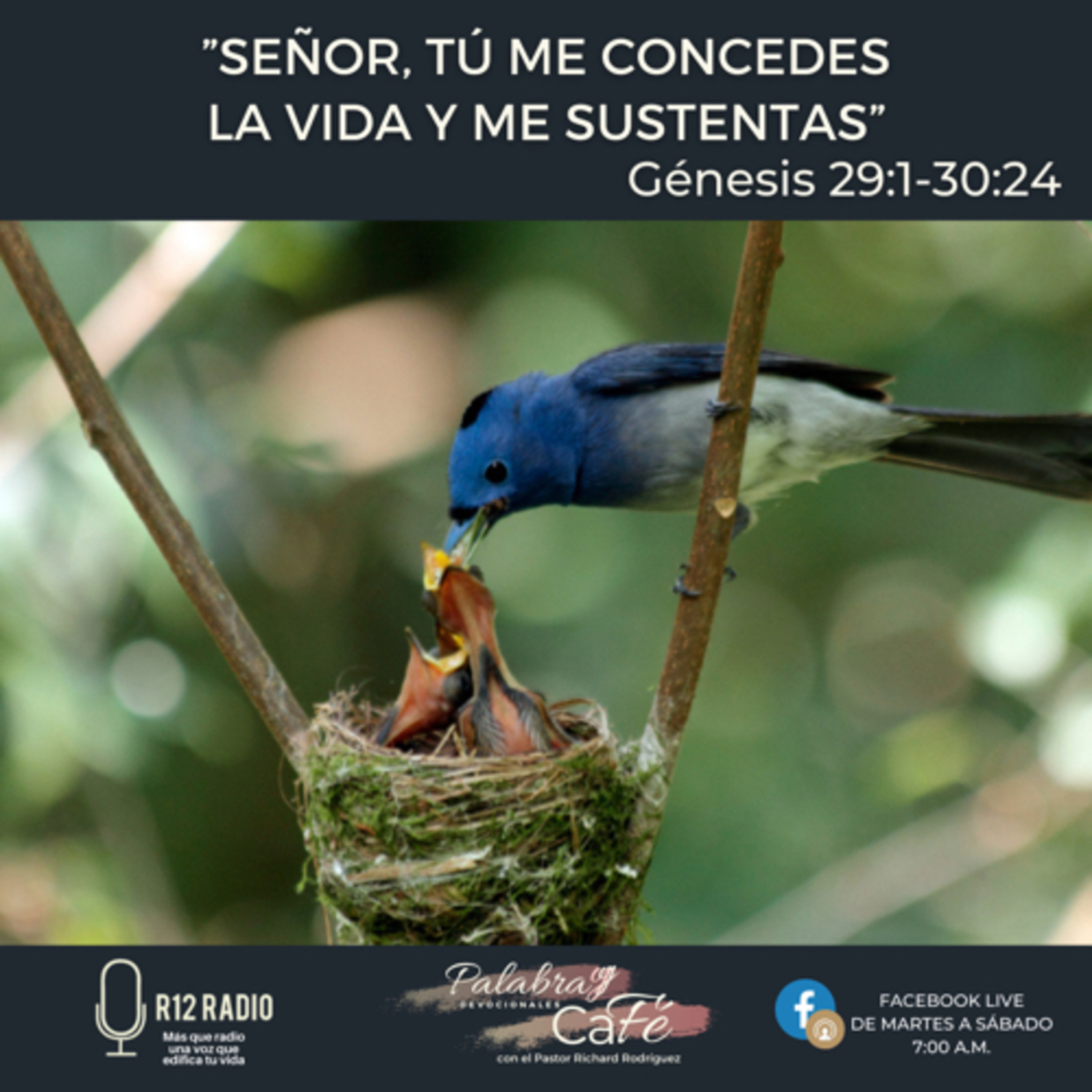 “Señor, Tú me concedes la vida y me sustentas” episode artwork