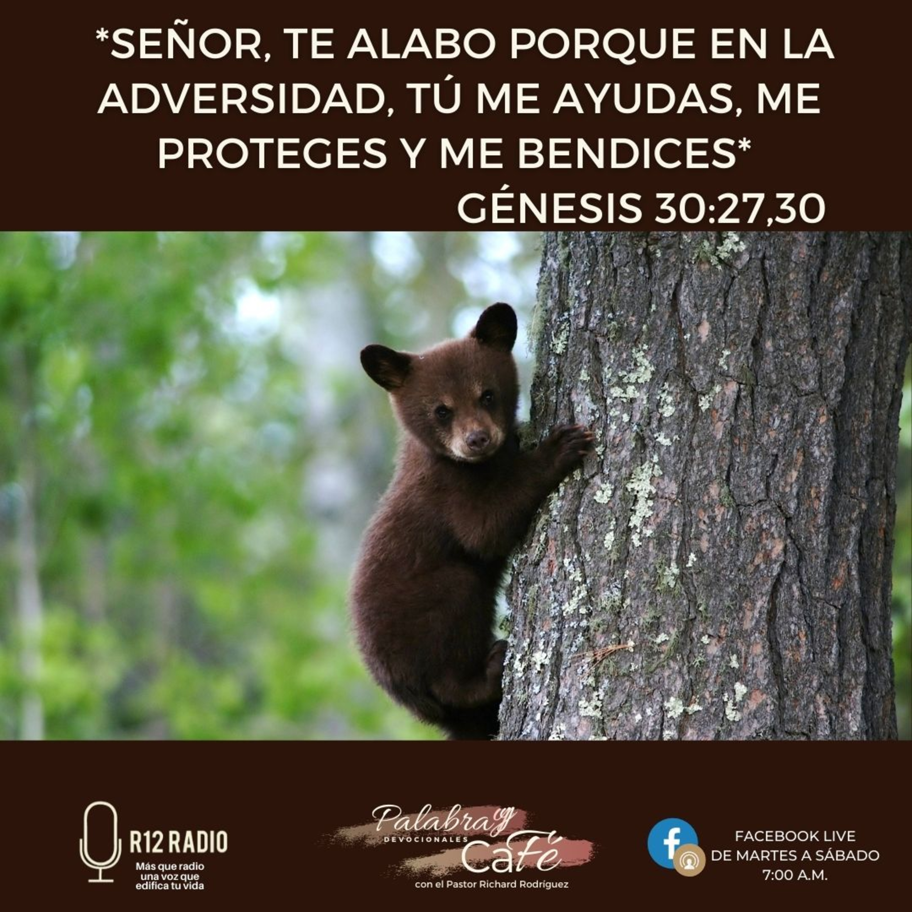 Señor, Te alabo porque en la adversidad, Tú me ayudas, me proteges y me bendices. episode artwork