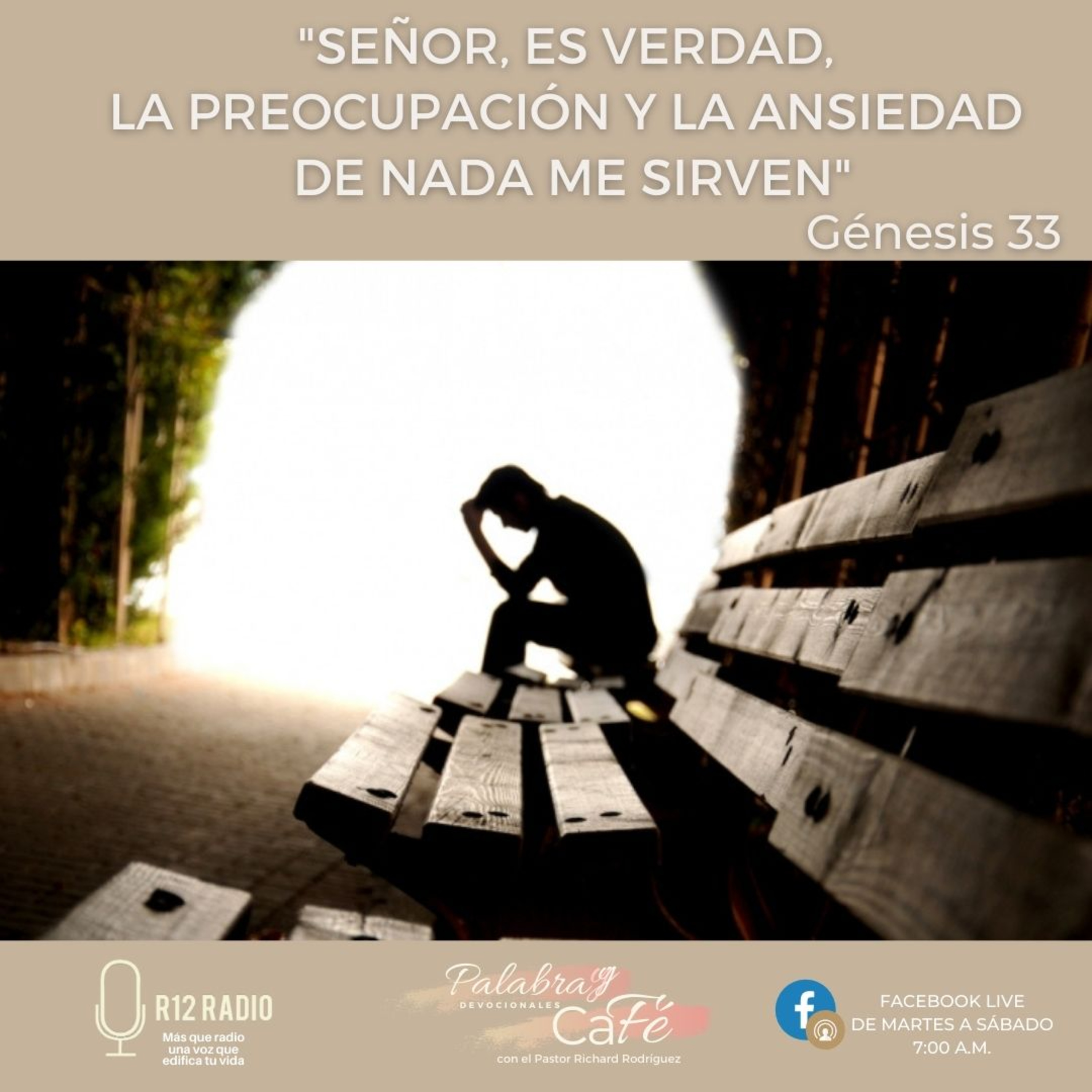 Señor, es verdad, la preocupación y la ansiedad de nada me sirven. episode artwork