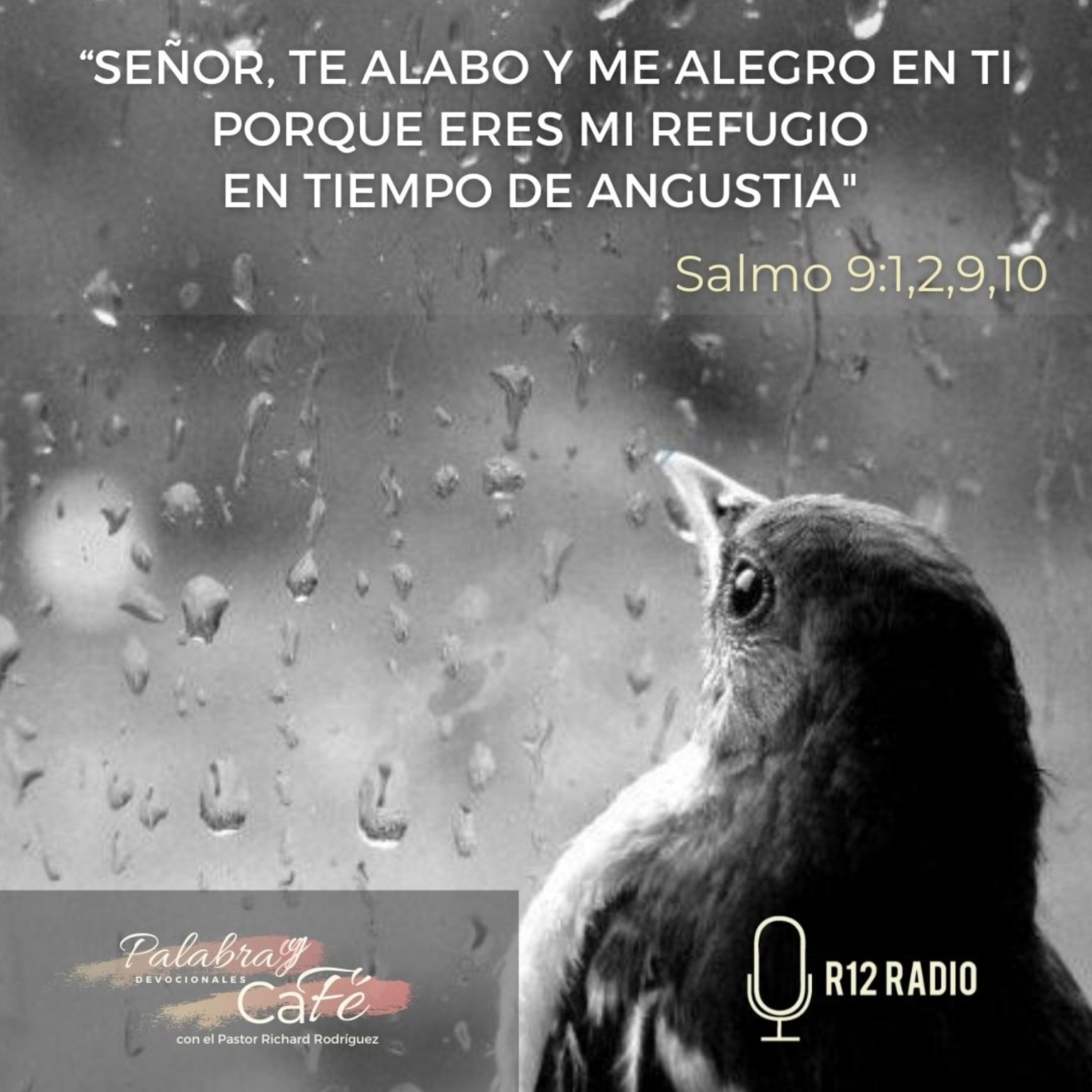 Señor, te alabo y me alegro en Ti porque era mi refugio en tiempo de angustia - Salmo 9:1,2,9,10 episode artwork