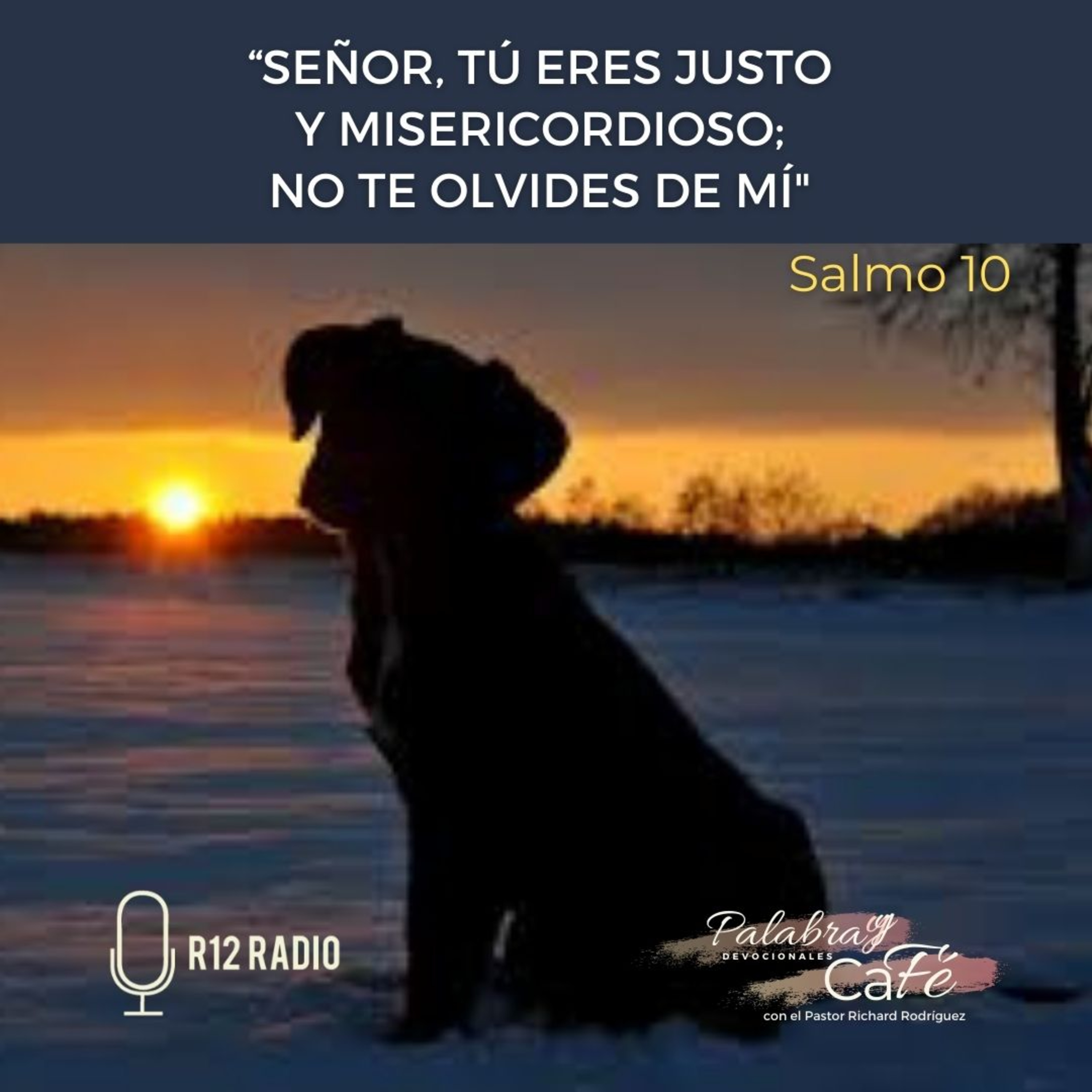 Señor, Tú eres justo y misericordioso; no te olvides de mí- Salmo 10:1,17,18 episode artwork