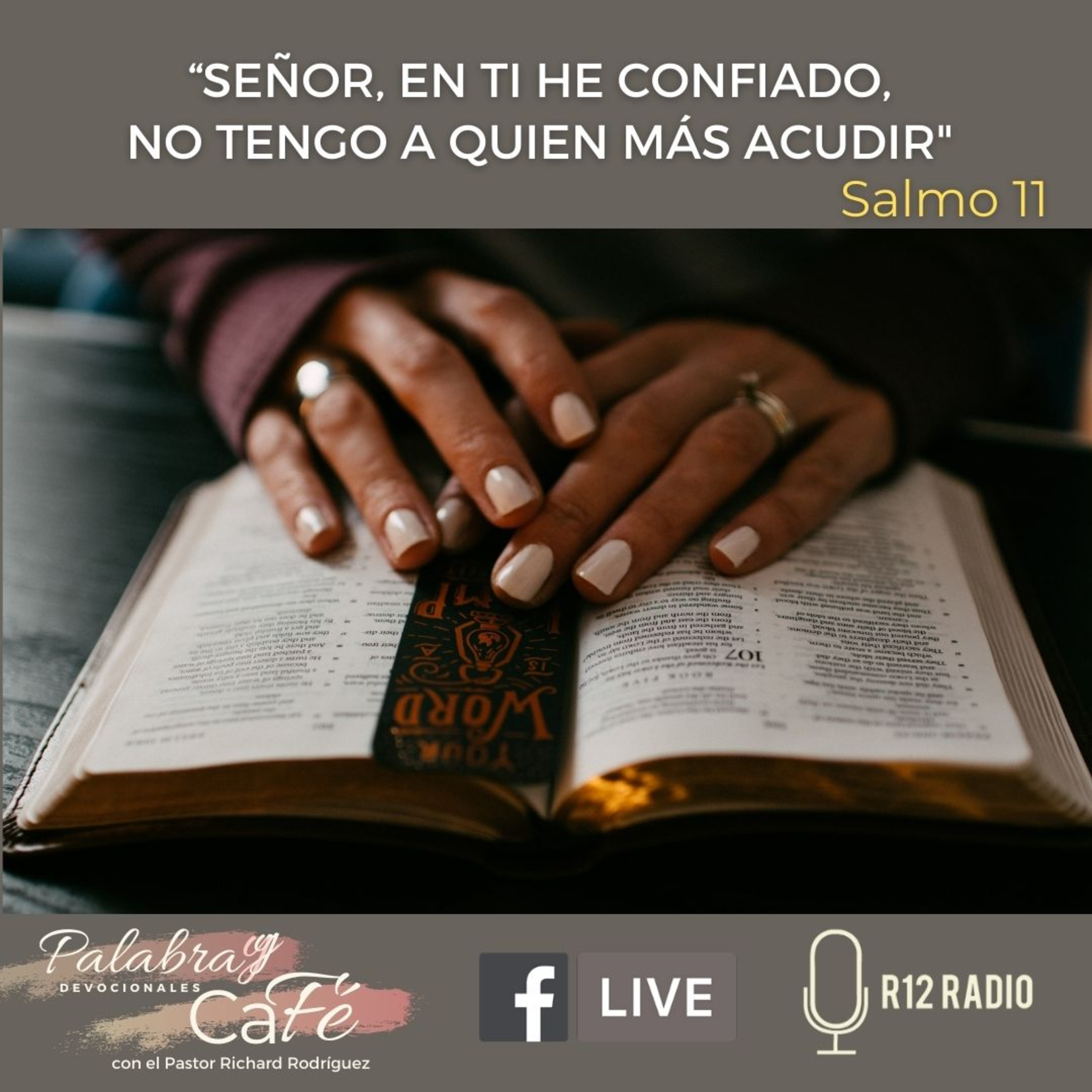 Señor, en Ti he confiado, no tengo a quien más acudir. - Salmo 11 episode artwork