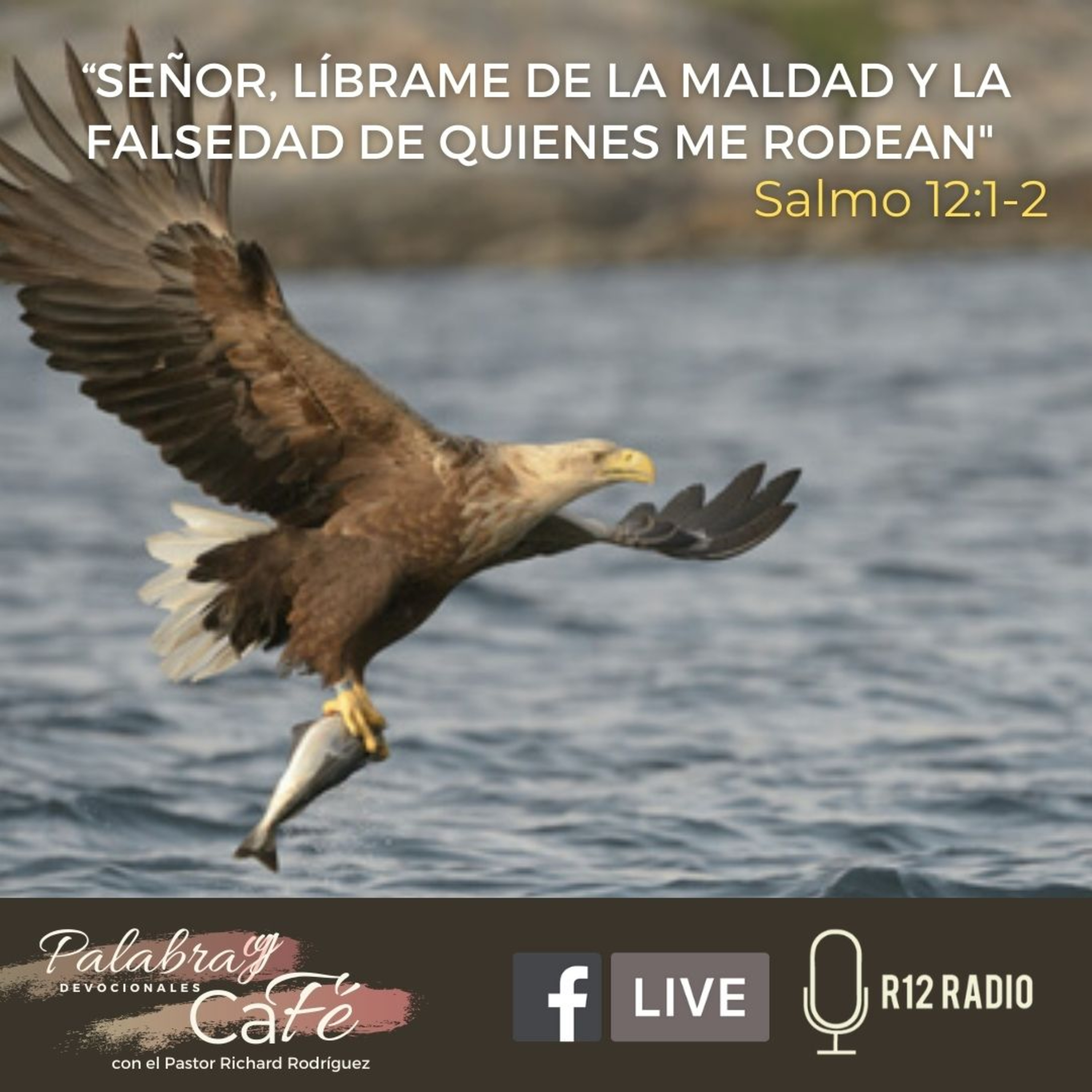 Señor, líbrame de la maldad y la falsedad de quienes me rodean. - Salmo 12:1,2 episode artwork