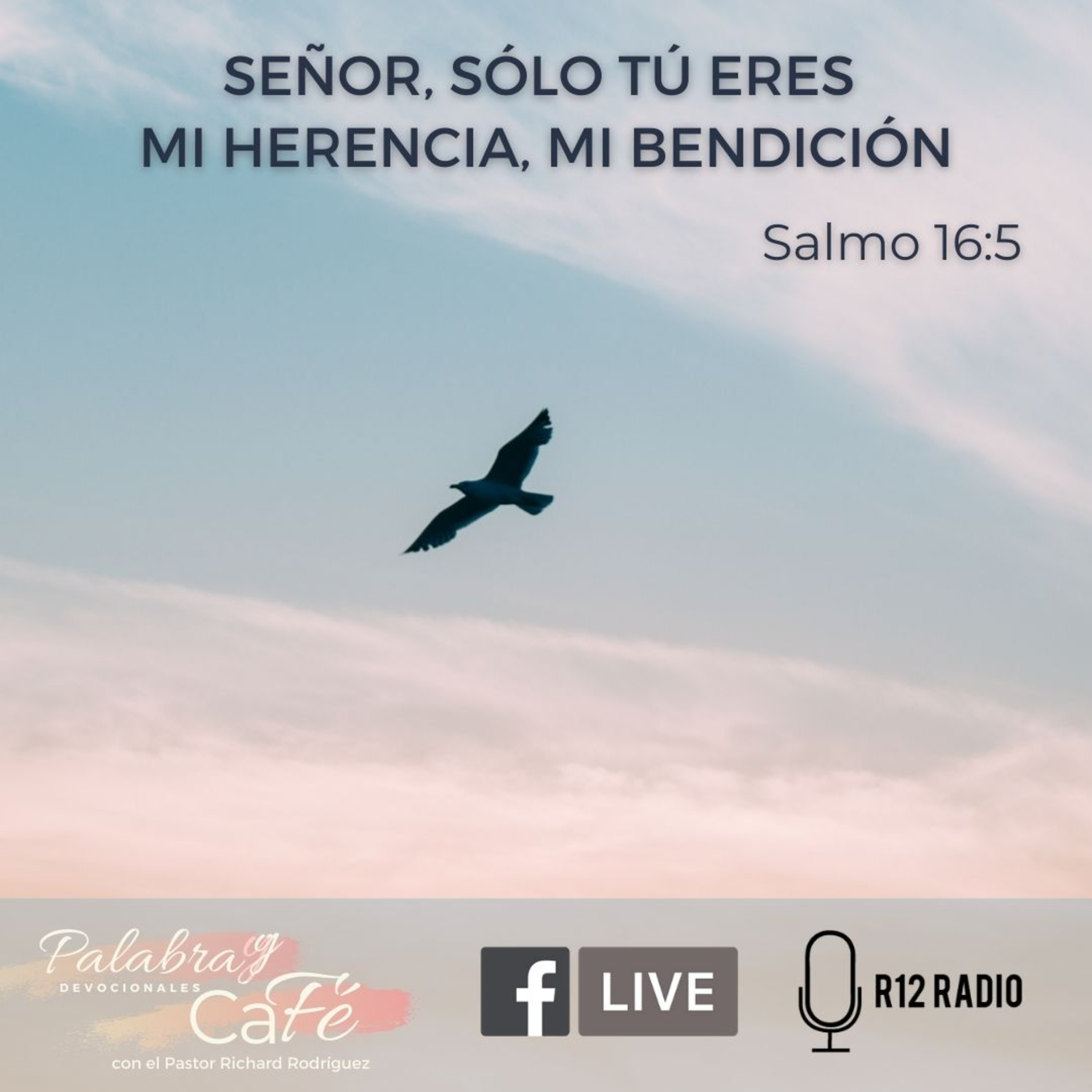 Señor, sólo Tú eres mi herencia, mi bendición - Salmo 16:5 episode artwork