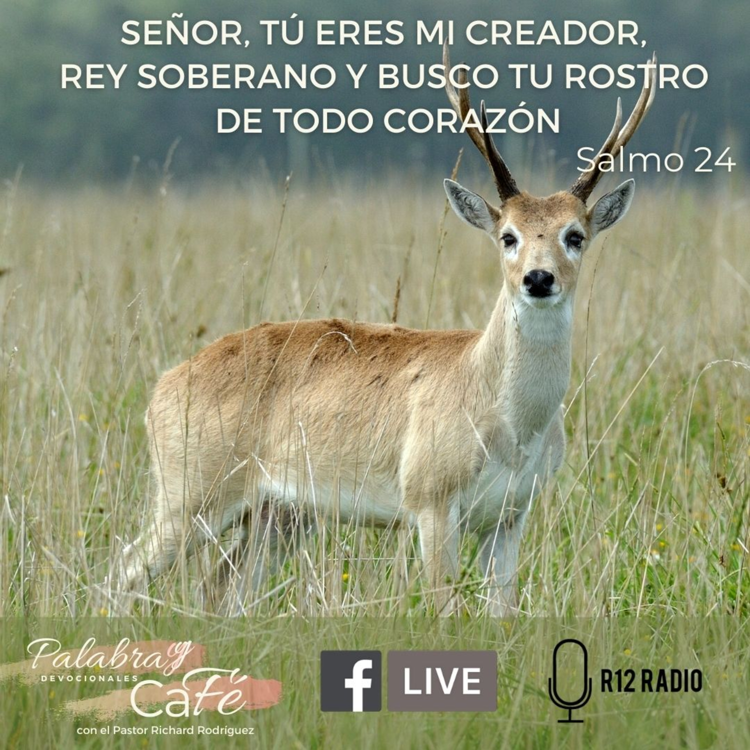 Señor, Tú eres mi Creador, Rey Soberano y busco Tu rostro de todo corazón - Salmo 24 episode artwork