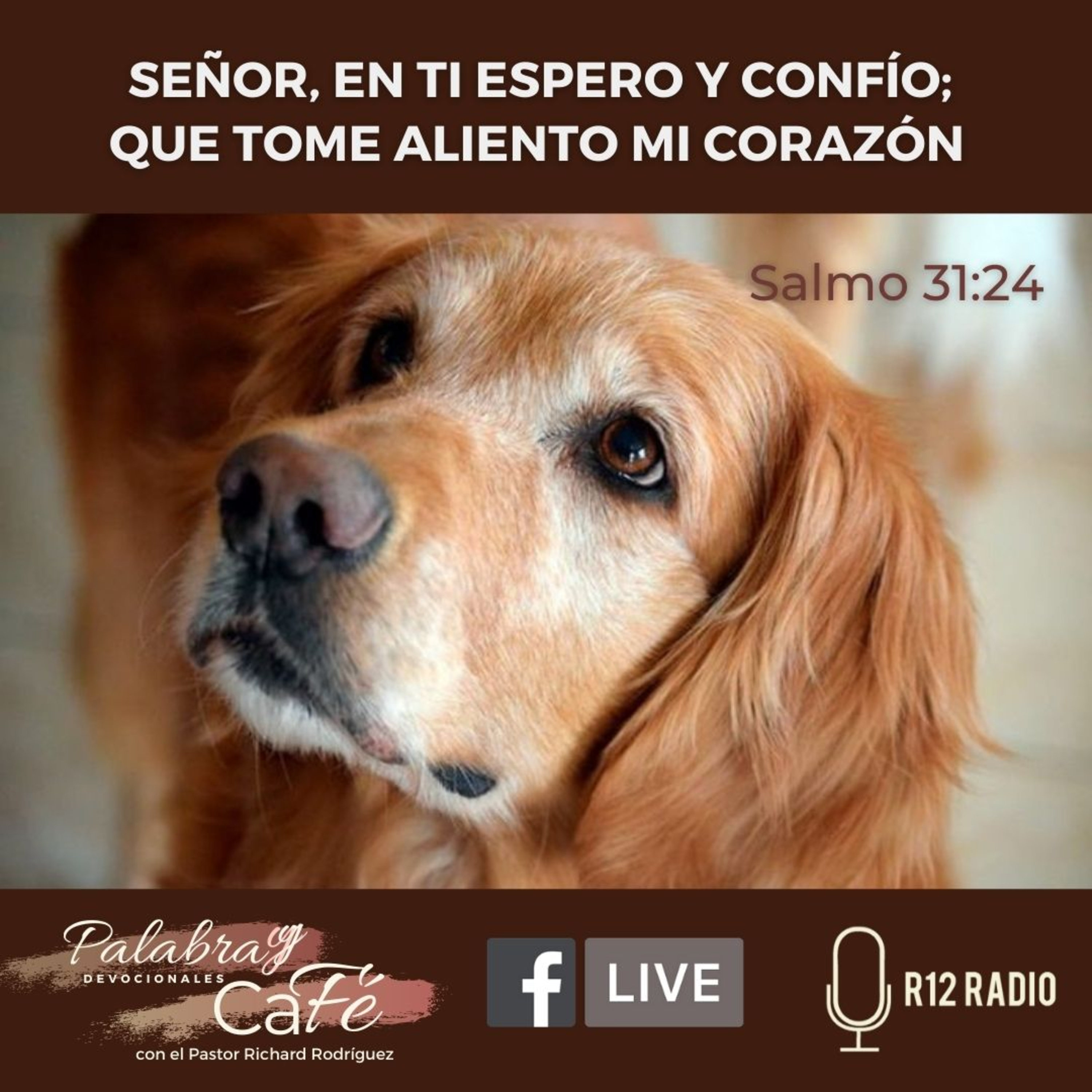 Señor, en ti espero y confío; que tome aliento mi corazón - Salmo 31:24 episode artwork