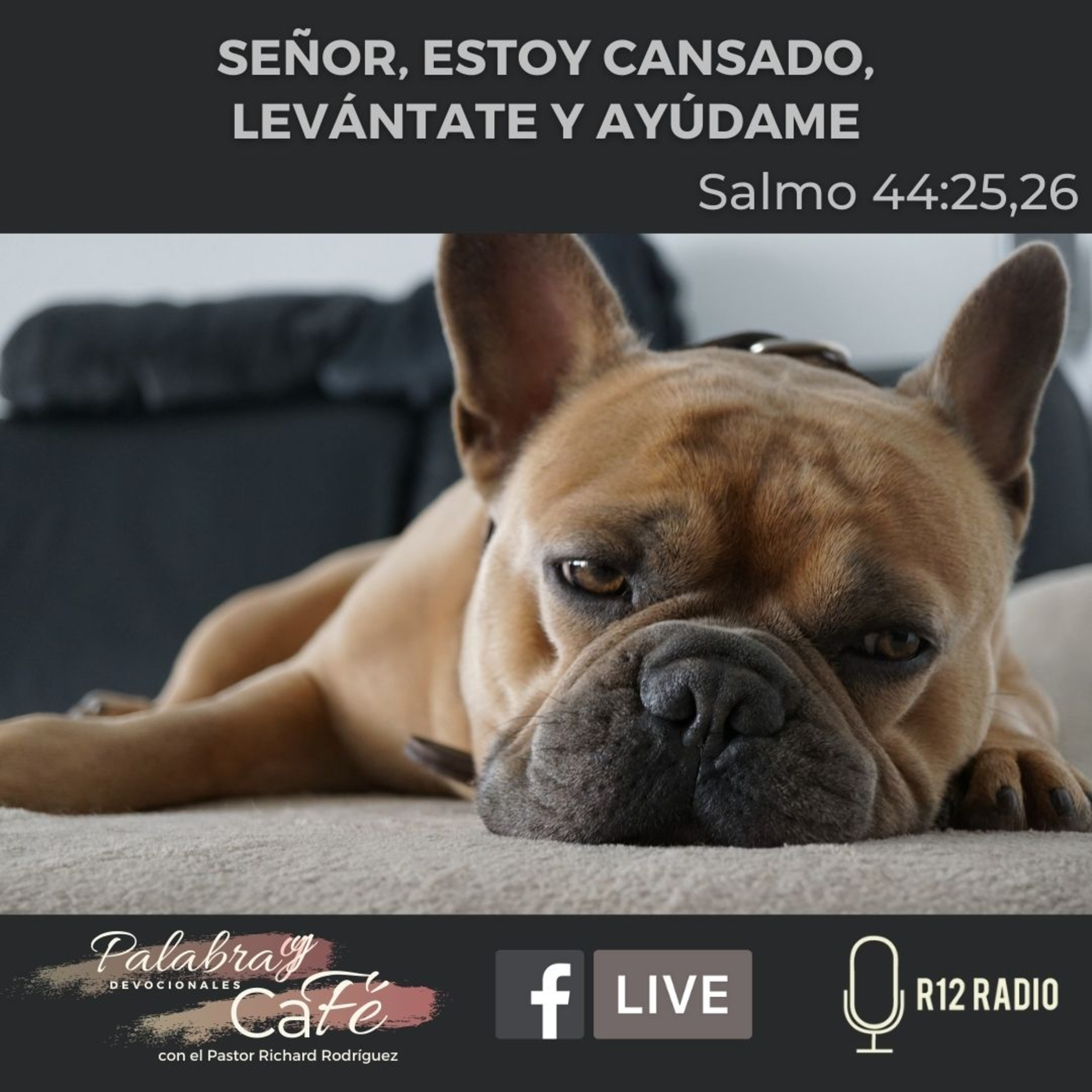 Señor, estoy cansado, levántate y ayúdame - Salmo 44:25,26 episode artwork