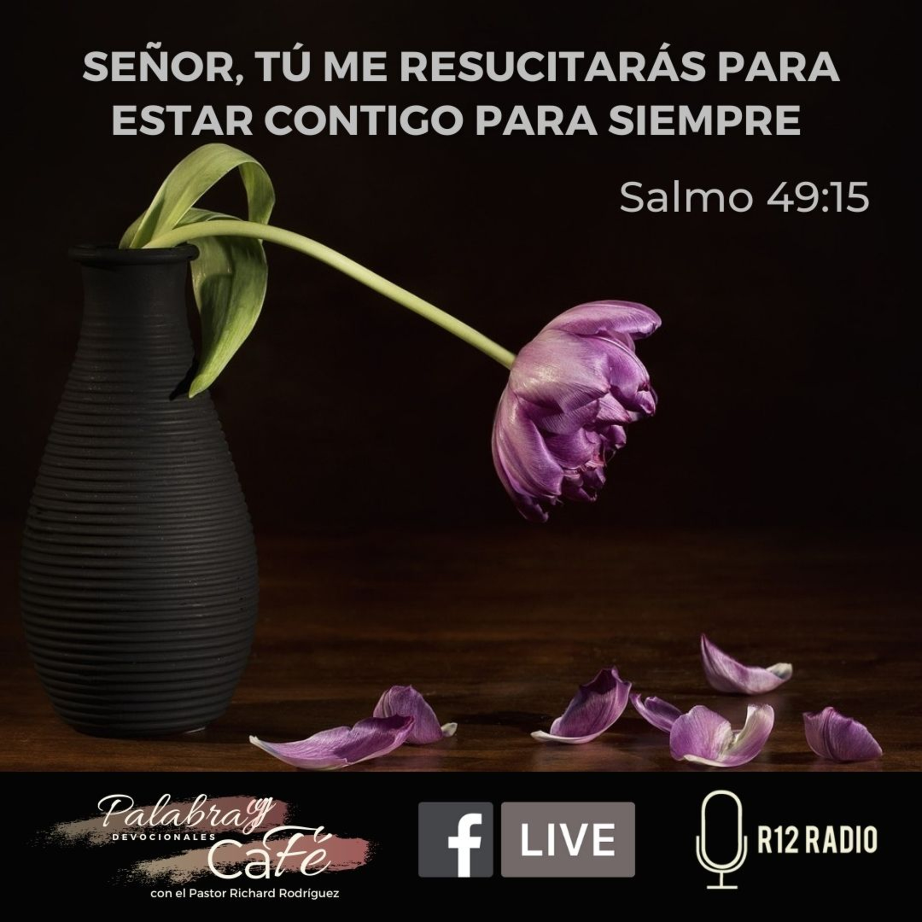 SEÑOR, TÚ ME RESUCITARÁS PARA ESTAR CONTIGO PARA SIEMPRE. SALMO 49:15. episode artwork