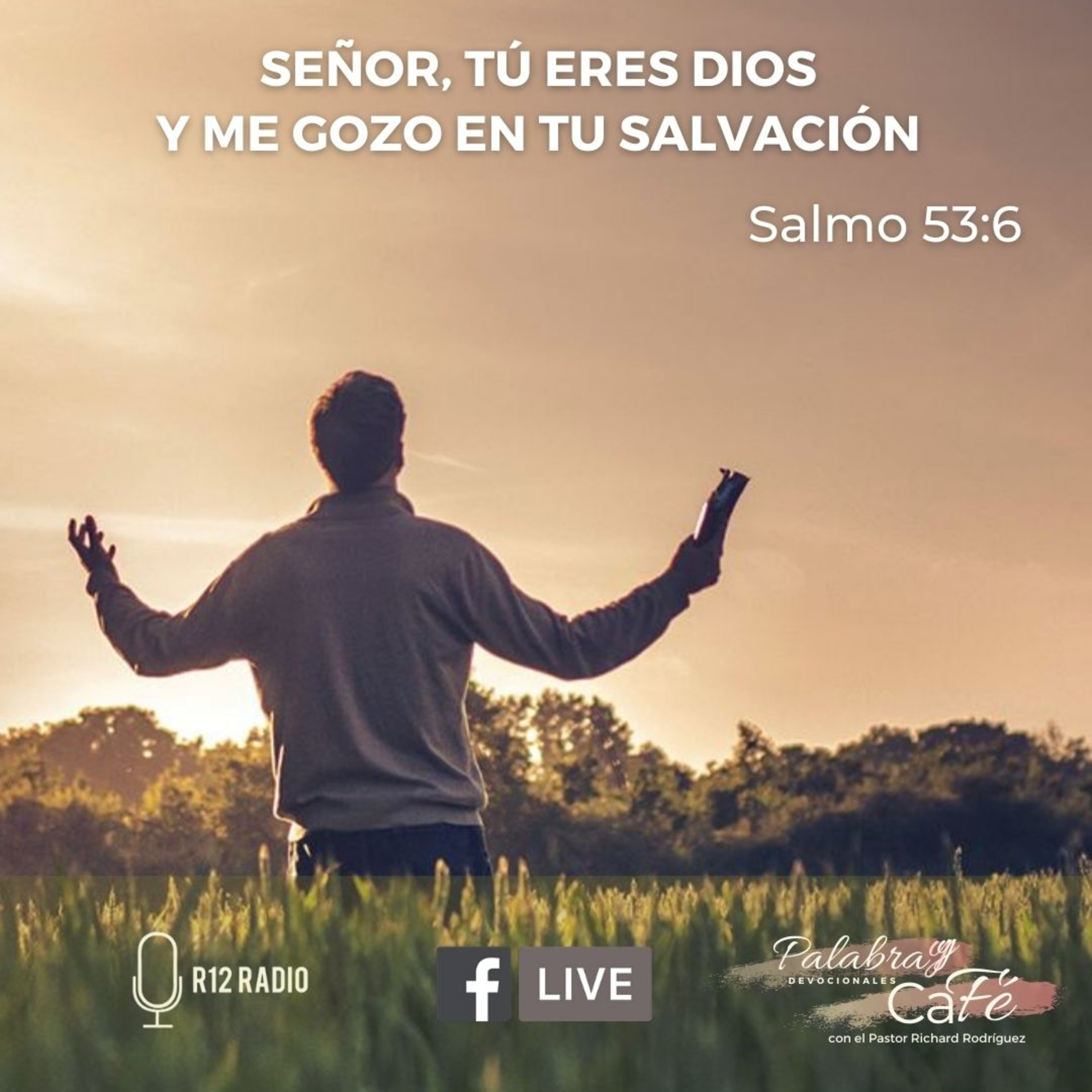 SEÑOR, TÚ ERES DIOS Y ME GOZO EN TU SALVACIÓN. SALMOS 53:6 episode artwork