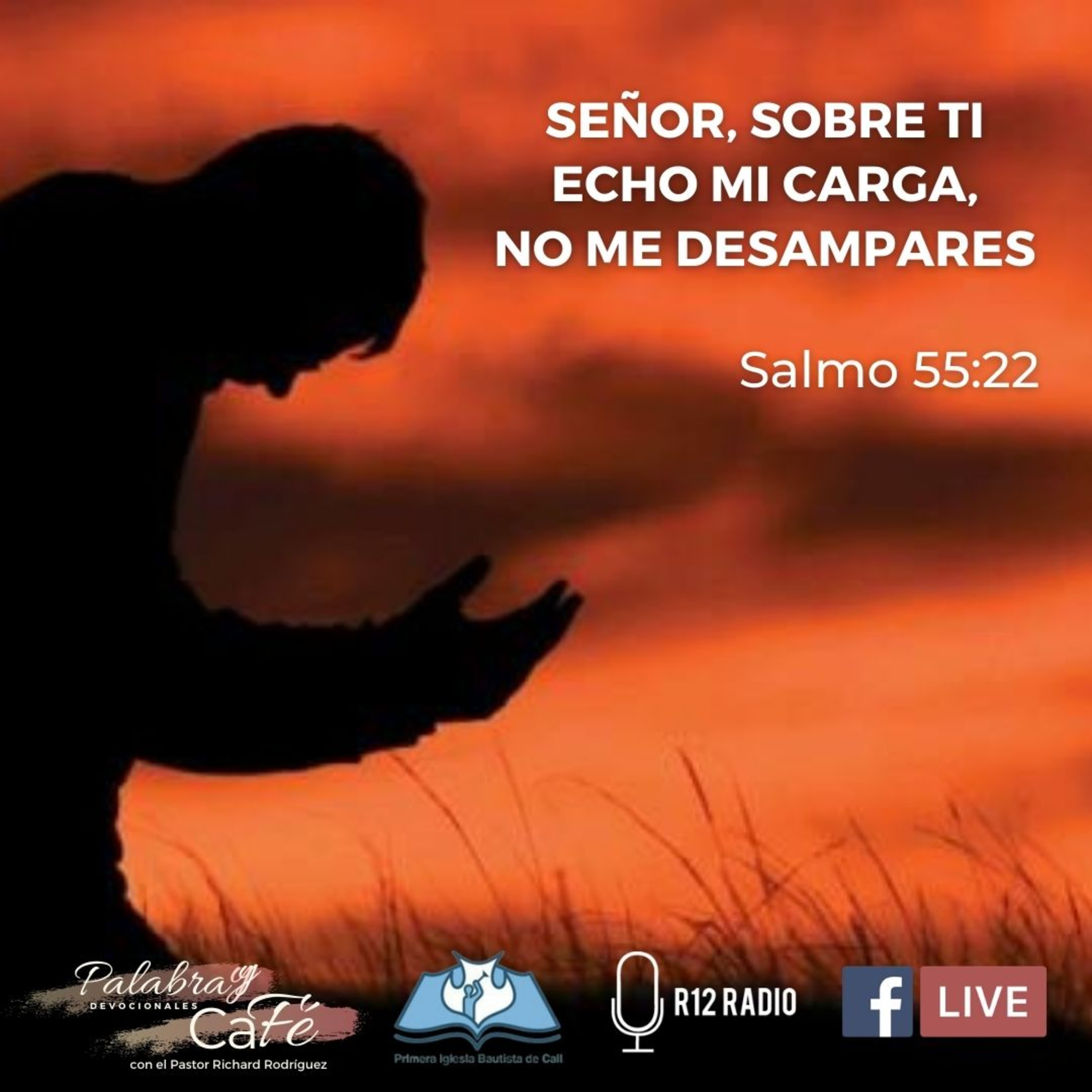 SEÑOR, SOBRE TI ECHO MI CARGA, NO ME DESAMPARES. SALMOS 55:22 episode artwork