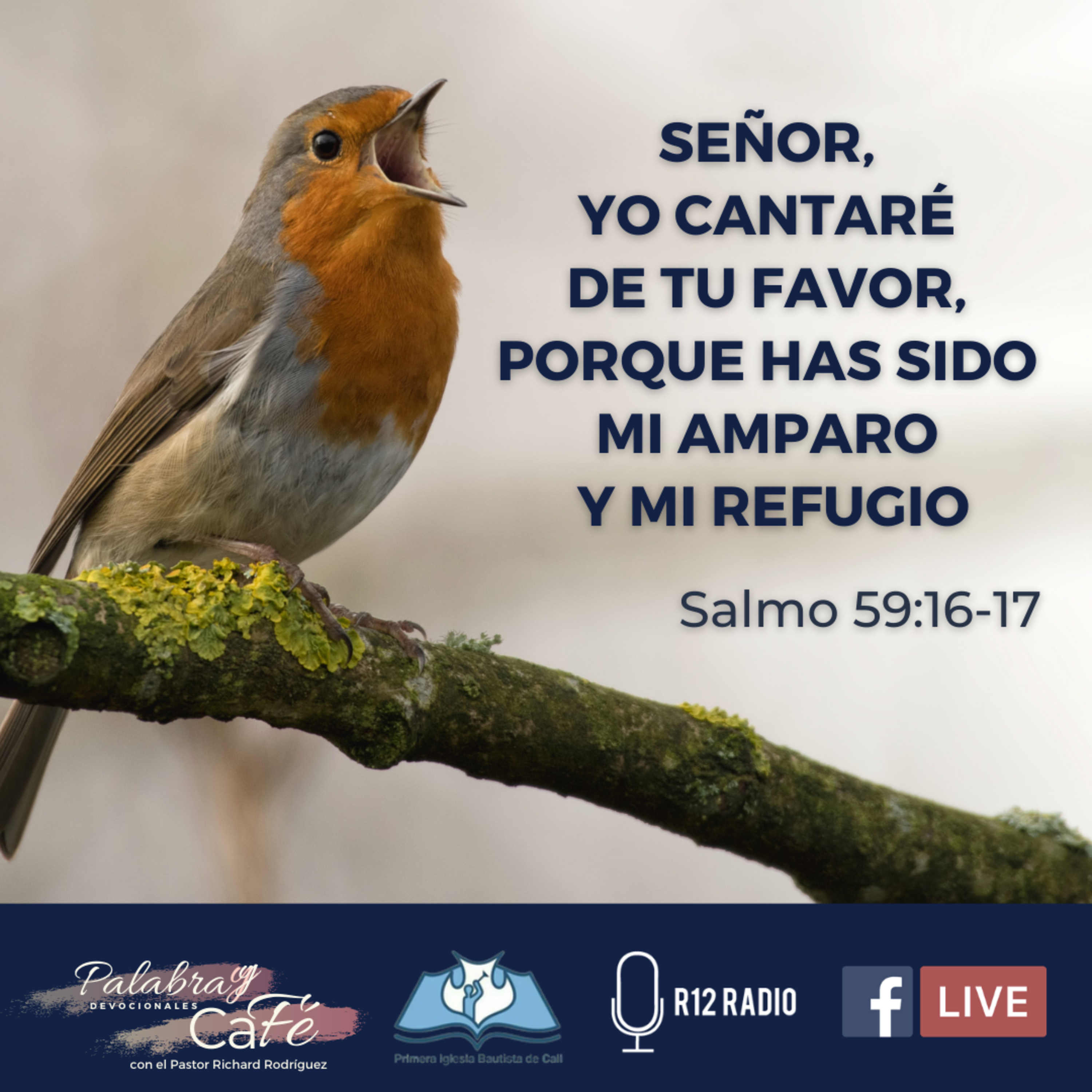 Señor, yo cantaré de Tu favor, porque has sido mi amparo y mi refugio - Salmo 59:16,17 episode artwork