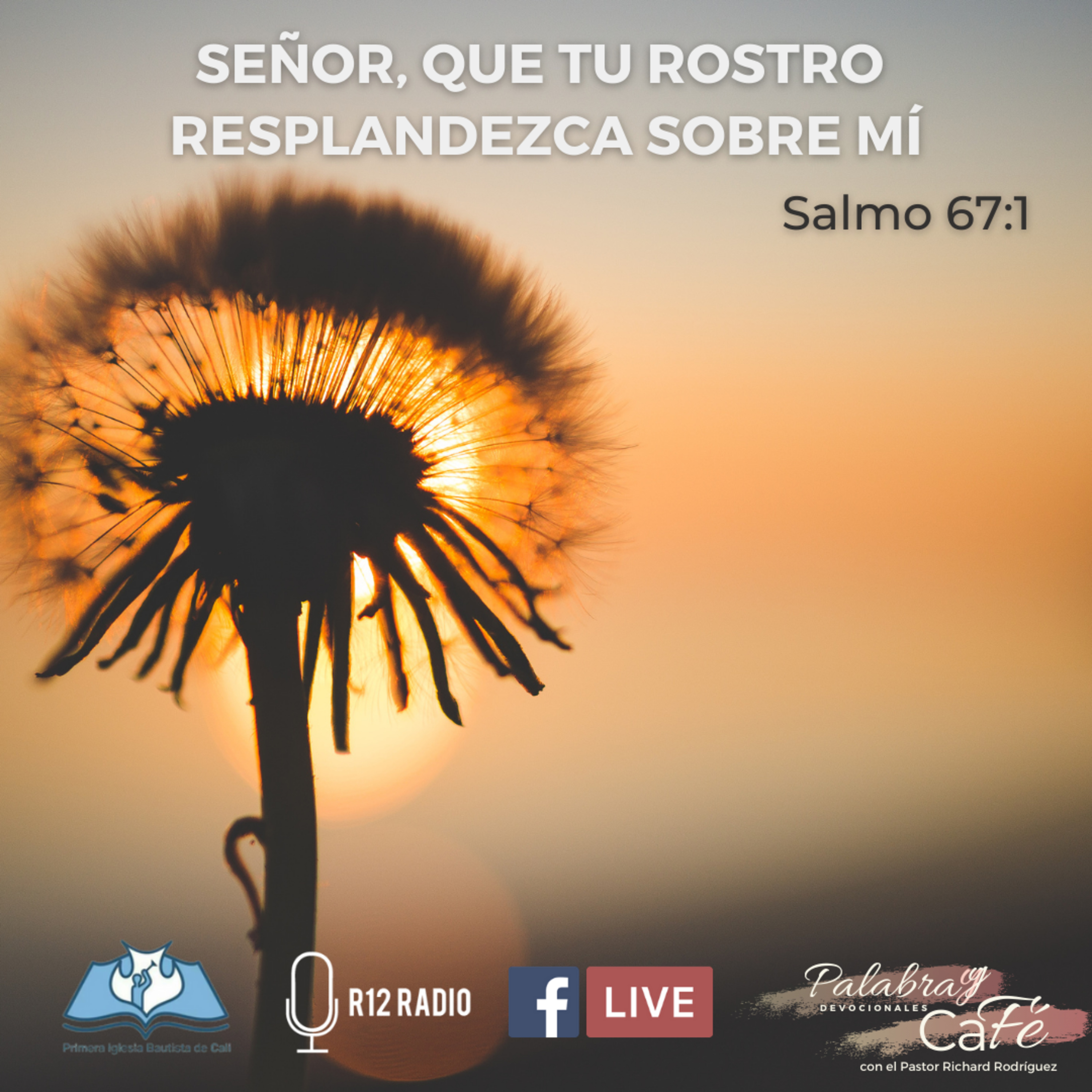 SEÑOR, QUE TU ROSTRO RESPLANDEZCA SOBRE MÍ. SALMO 67:1 episode artwork