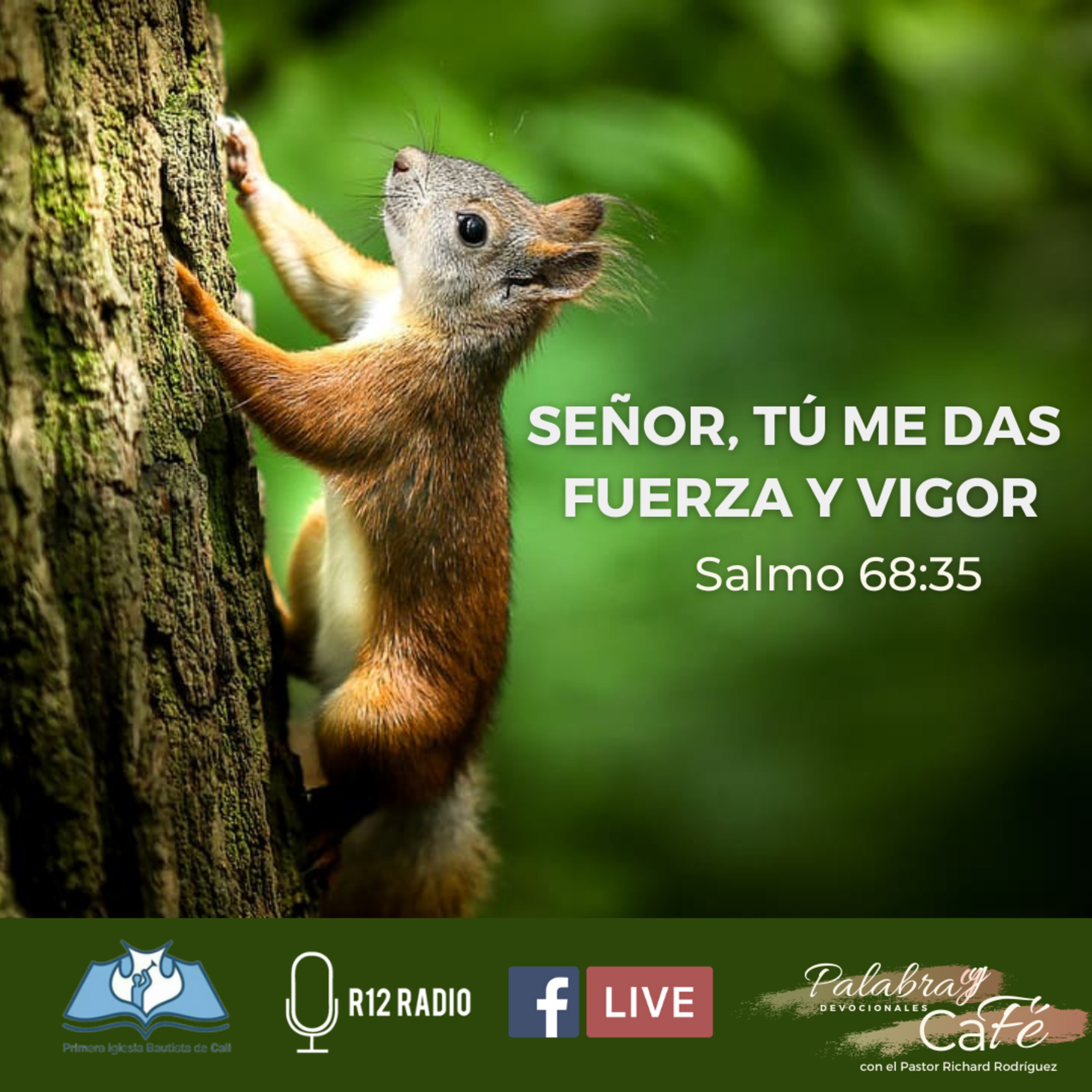 SEÑOR, TÚ ME DAS FUERZA Y VIGOR. SALMO 68:35 episode artwork
