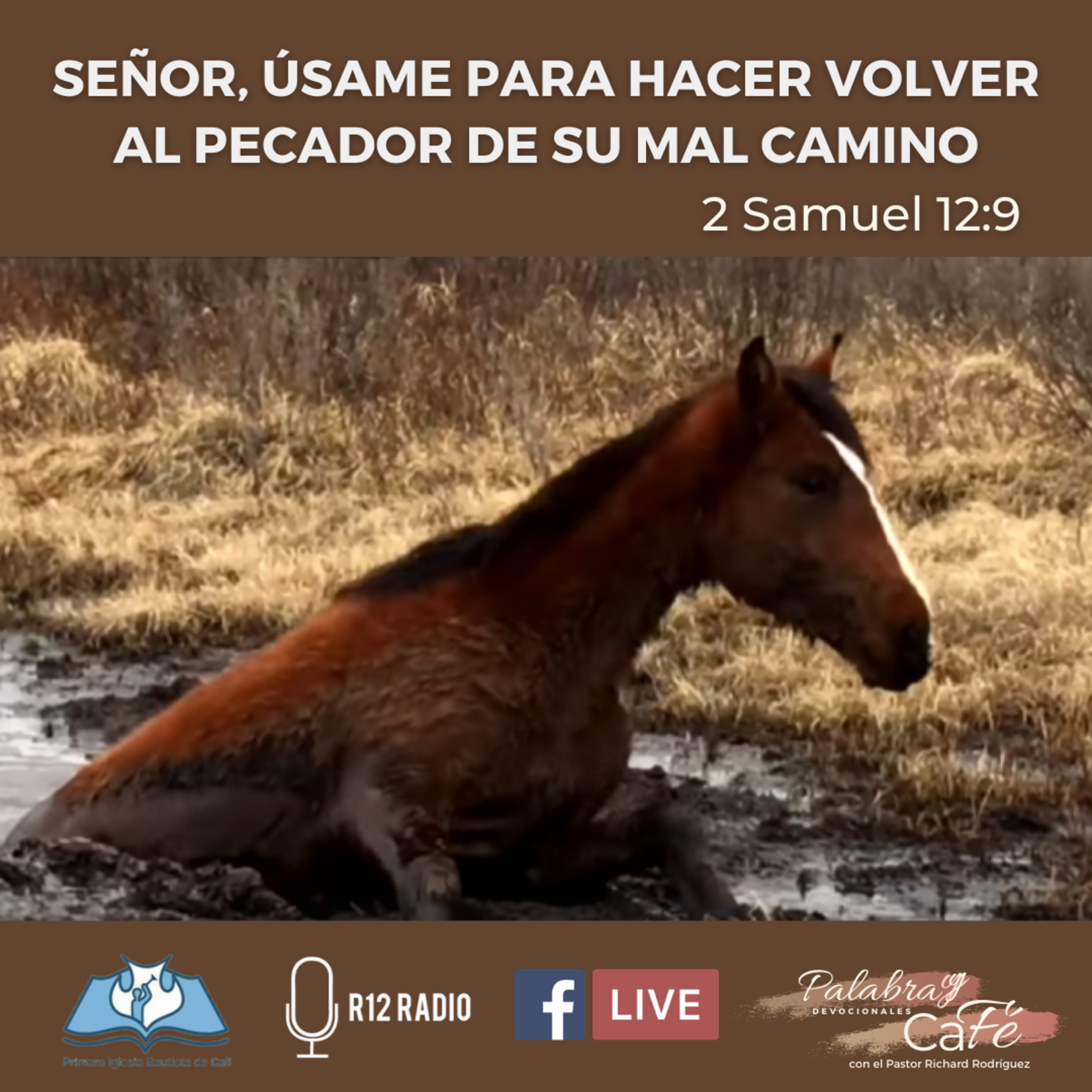 SEÑOR, ÚSAME PARA VOLVER AL PECADOR DE SU MAL CAMINO. 2 SAMUEL 12:9 episode artwork