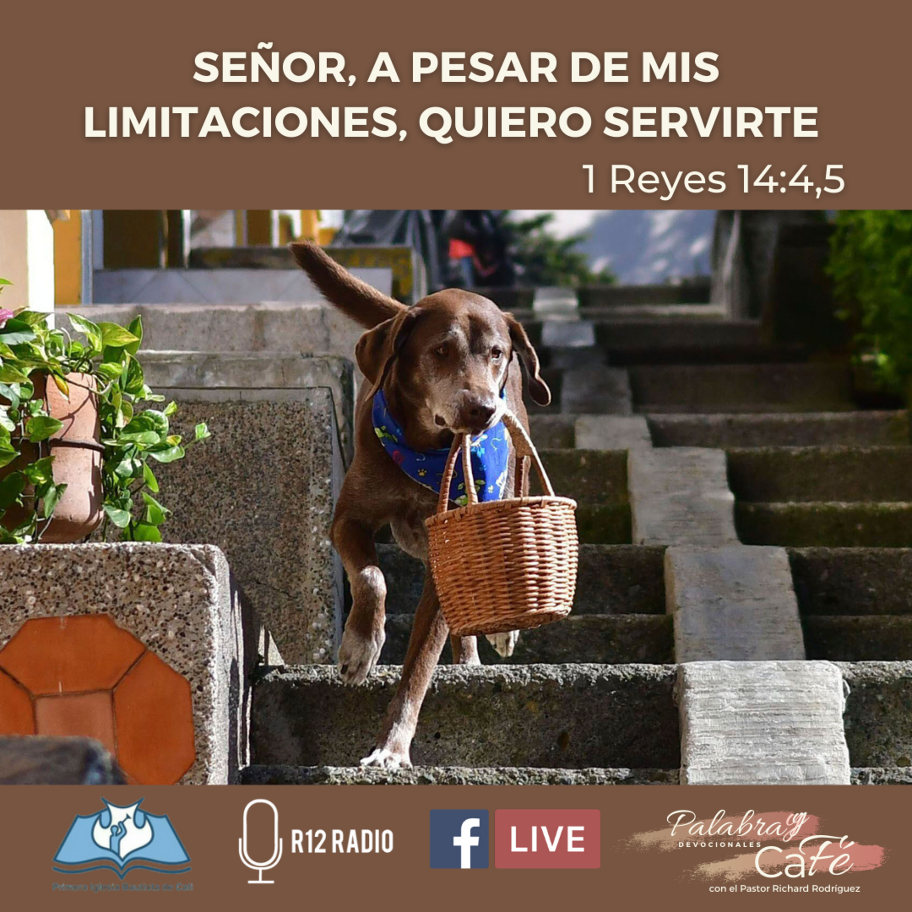 SEÑOR, A PESAR DE MIS LIMITACIONES QUIERO SERVIRTE. 1 REYES 14:4-5. episode artwork