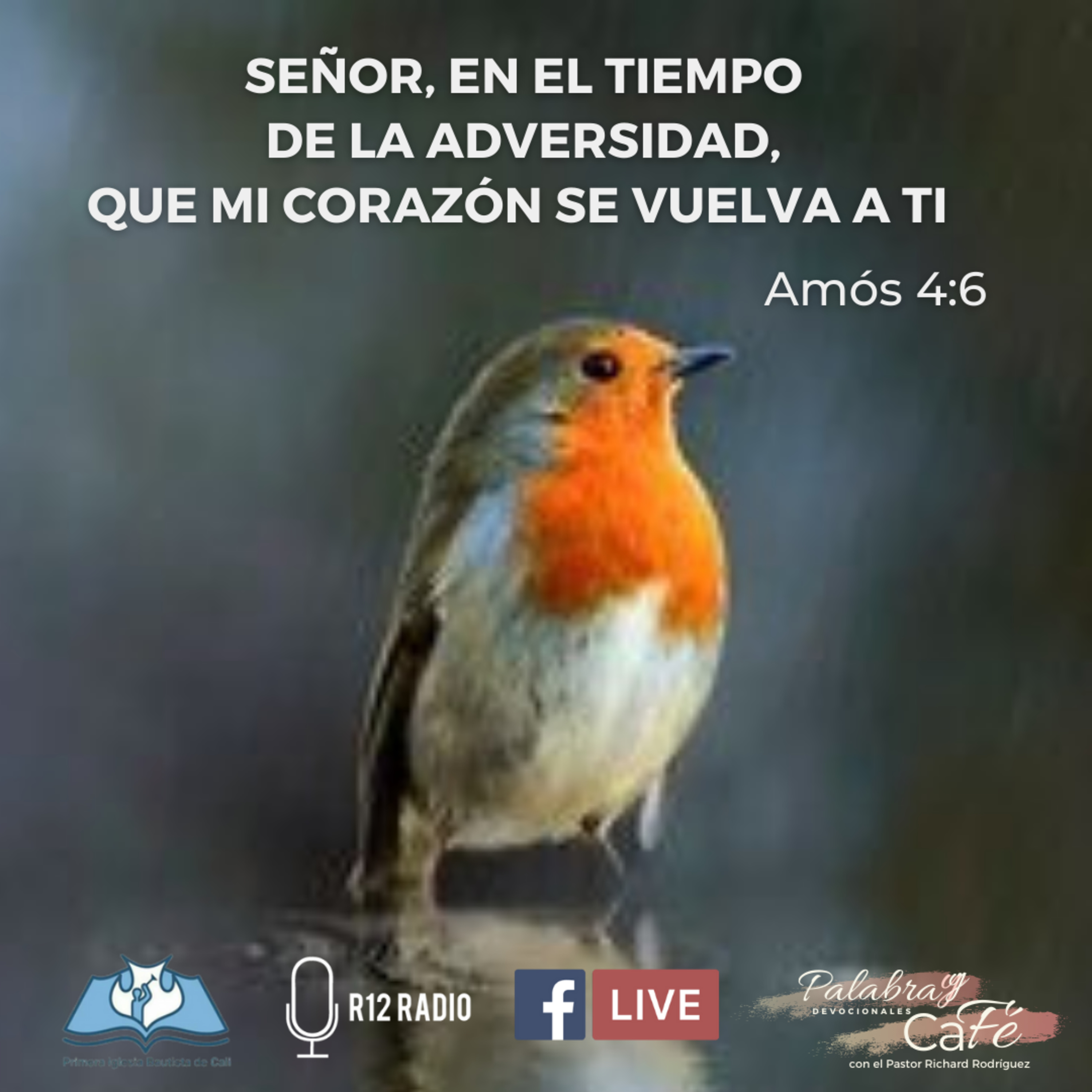 Señor, en tiempo de adversidad que mi corazón se vuelva a Ti. Amós 4:6. episode artwork