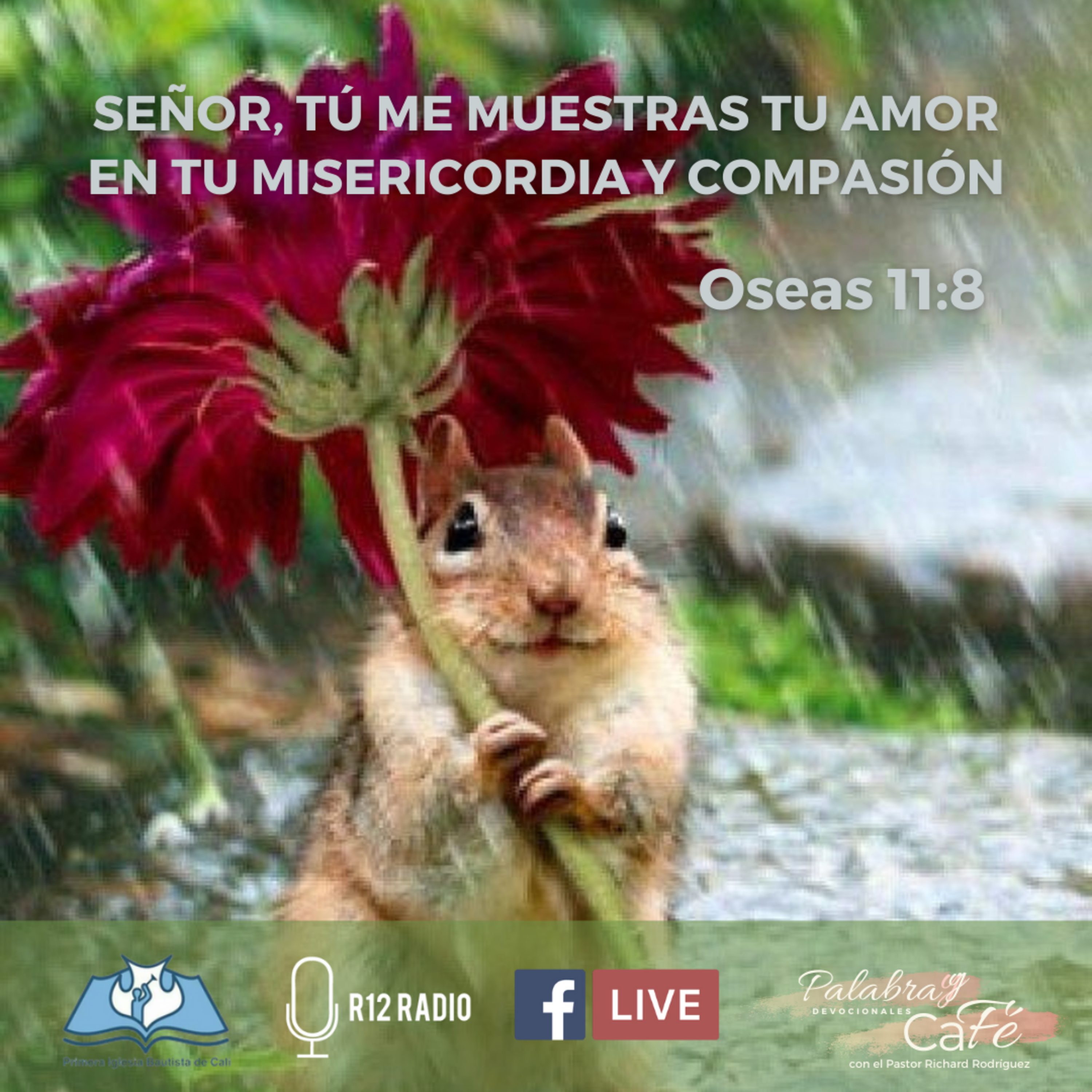 SEÑOR, TÚ ME MUESTRAS TU AMOR EN TU MISERICORDIA Y COMPASIÓN. Oseas 11:8. episode artwork