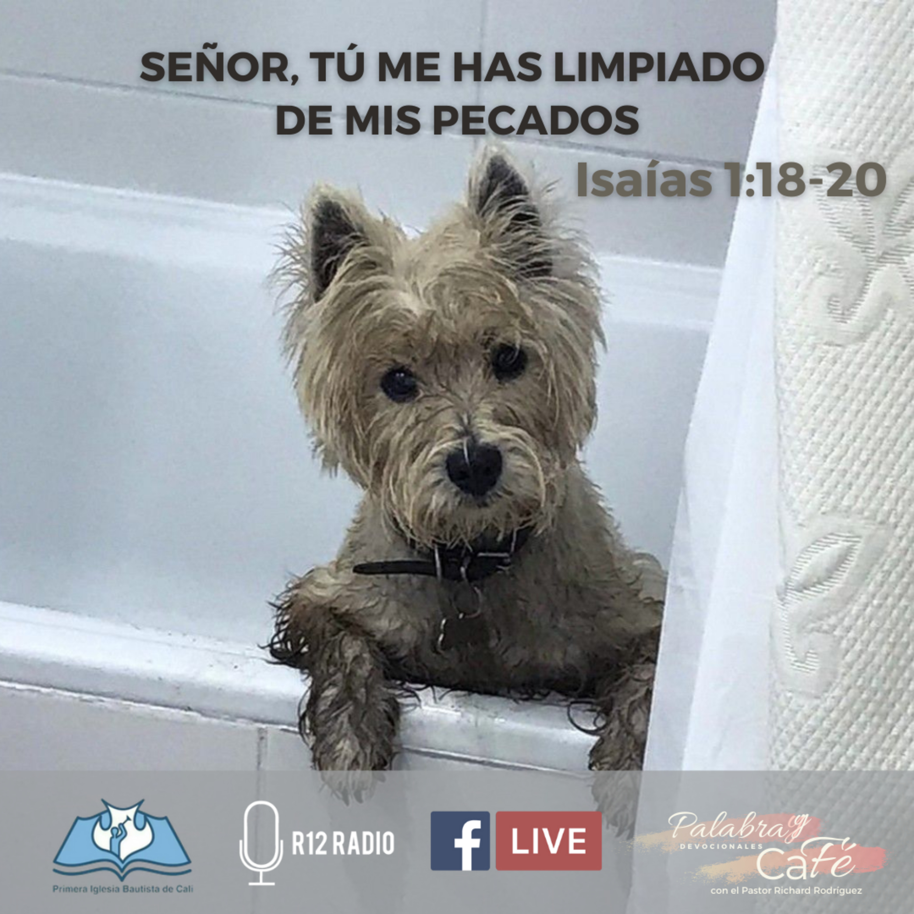 SEÑOR, TÚ ME HAS LIMPIADO DE MIS PECADOS. Isaías 1:18-20. episode artwork