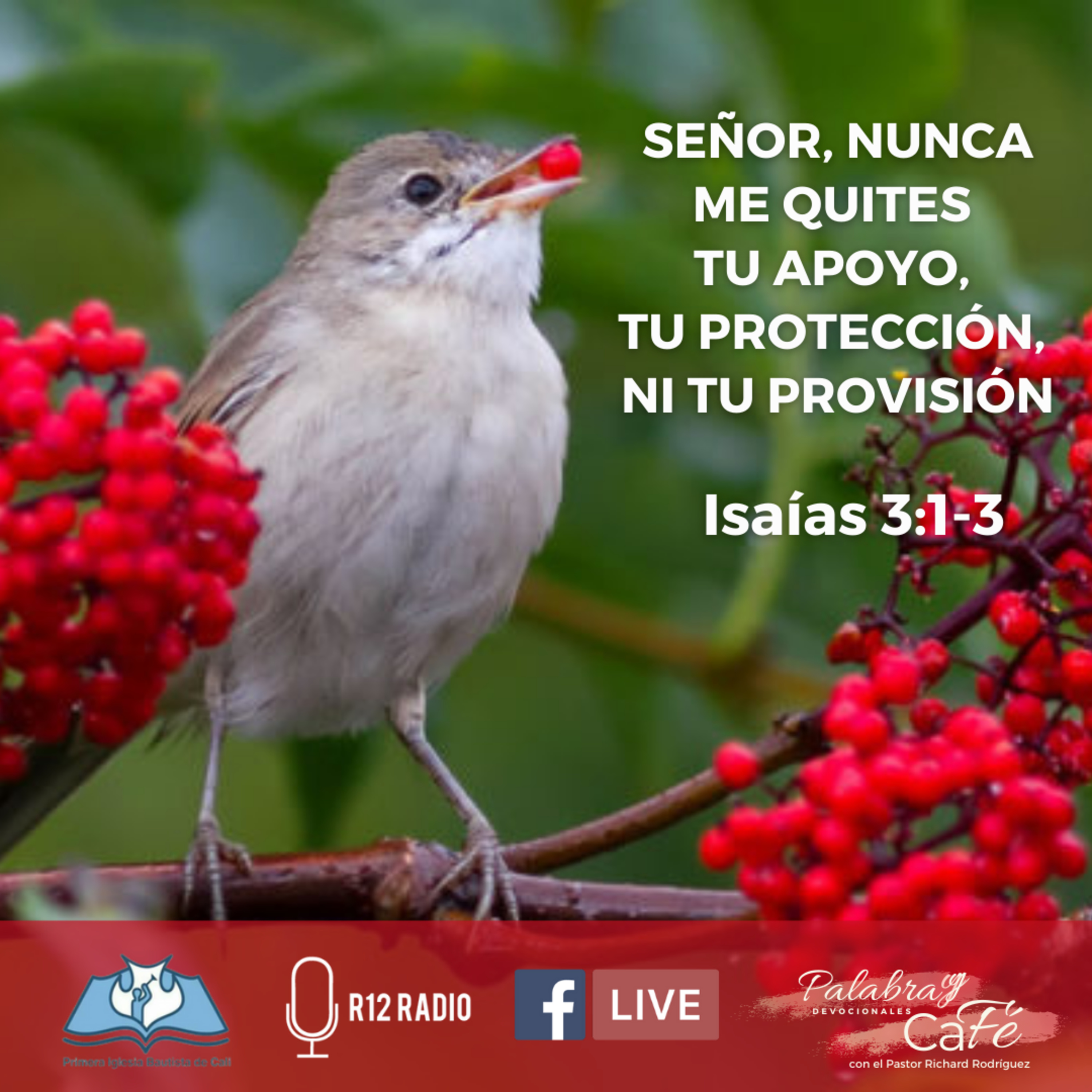 SEÑOR, NUNCA ME QUITES TU APOYO, TU PROTECCIÓN, NI TU PROVISIÓN. Isaías 3:1-3. episode artwork