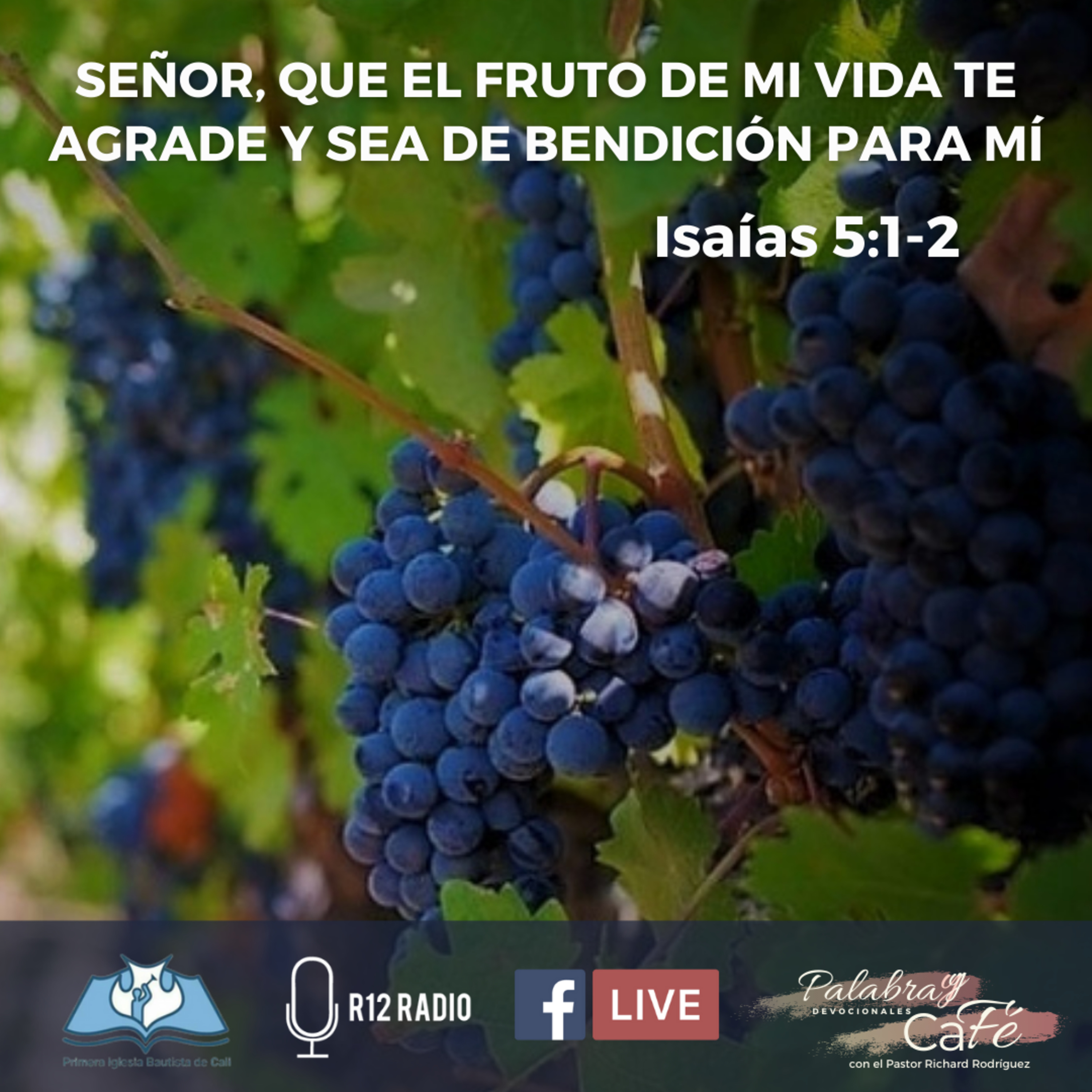 SEÑOR, QUE EL FRUTO DE MI VIDA TE AGRADE Y SEA DE BENDICIÓN PARA MÍ. Isaías 5:1-2. episode artwork