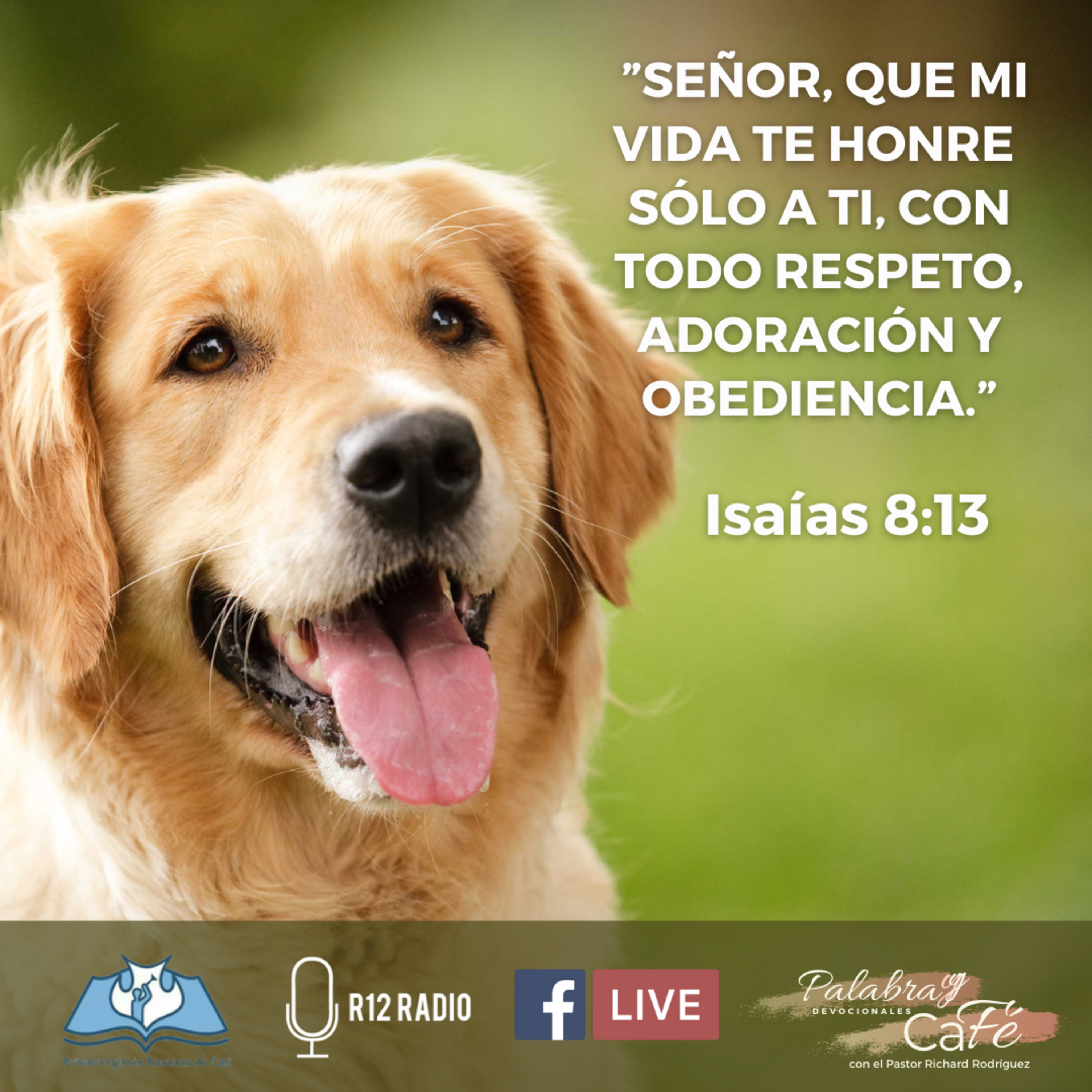 Señor, que mi Vida te honre sólo a ti, con todo respeto, adoración y obediencia. - Isaías 8:13 episode artwork