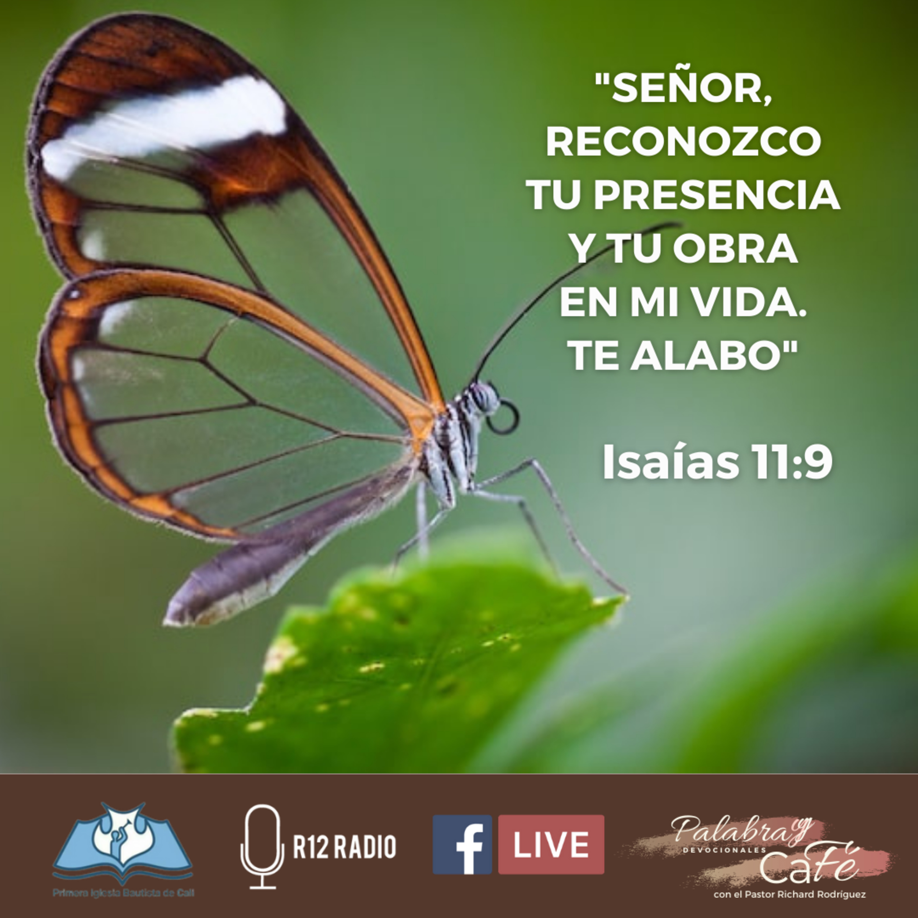 SEÑOR, RECONOZCO TU PRESENCIA Y TU OBRA EN MI VIDA. TE ALABO. - Isaías 11:9 episode artwork