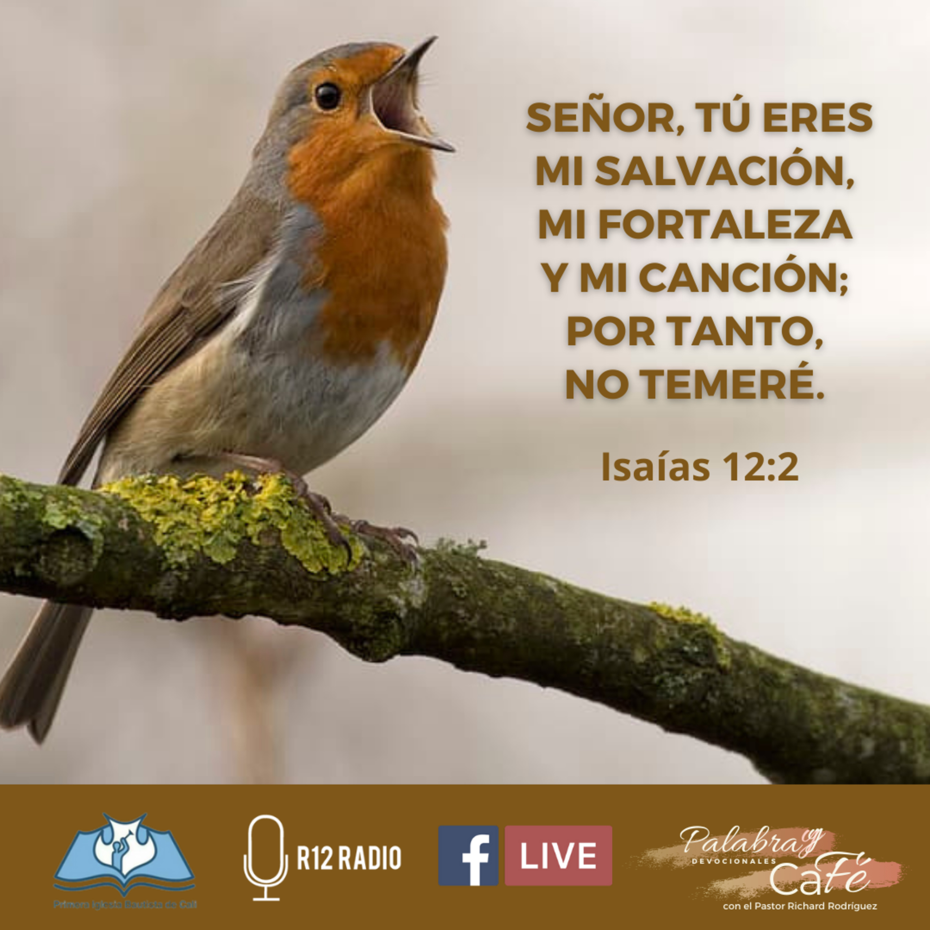 SEÑOR, TÚ ERES MI SALVACIÓN, MI FORTALEZ Y MI CANCIÓN; POR TANTO NO TEMERÉ - Isaías 12:2 episode artwork
