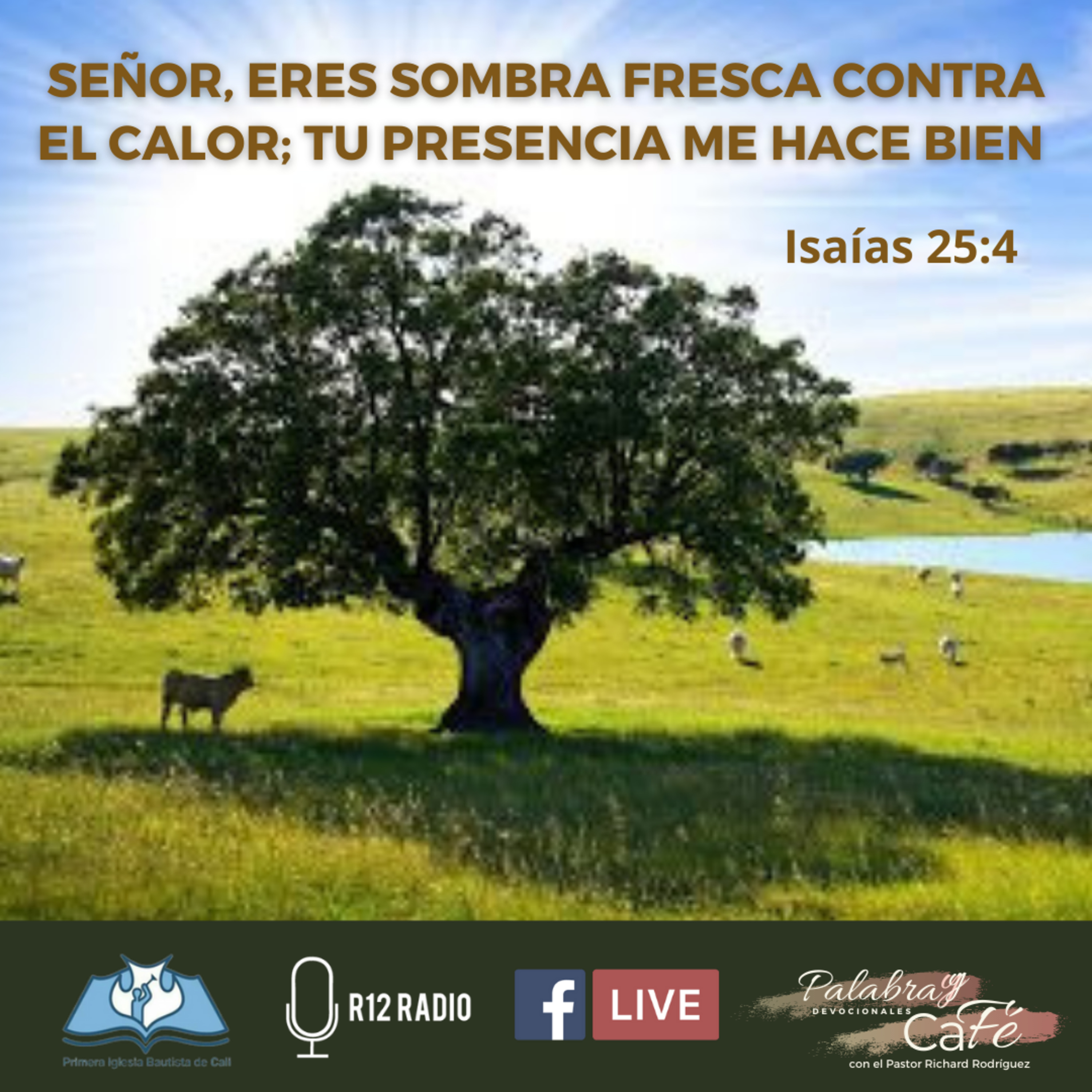 SEÑOR, ERES SOMBRA FRESCA CONTRA EL CALOR; TU PRESENCIA ME HACE BIEN. Isaías 25:4 episode artwork