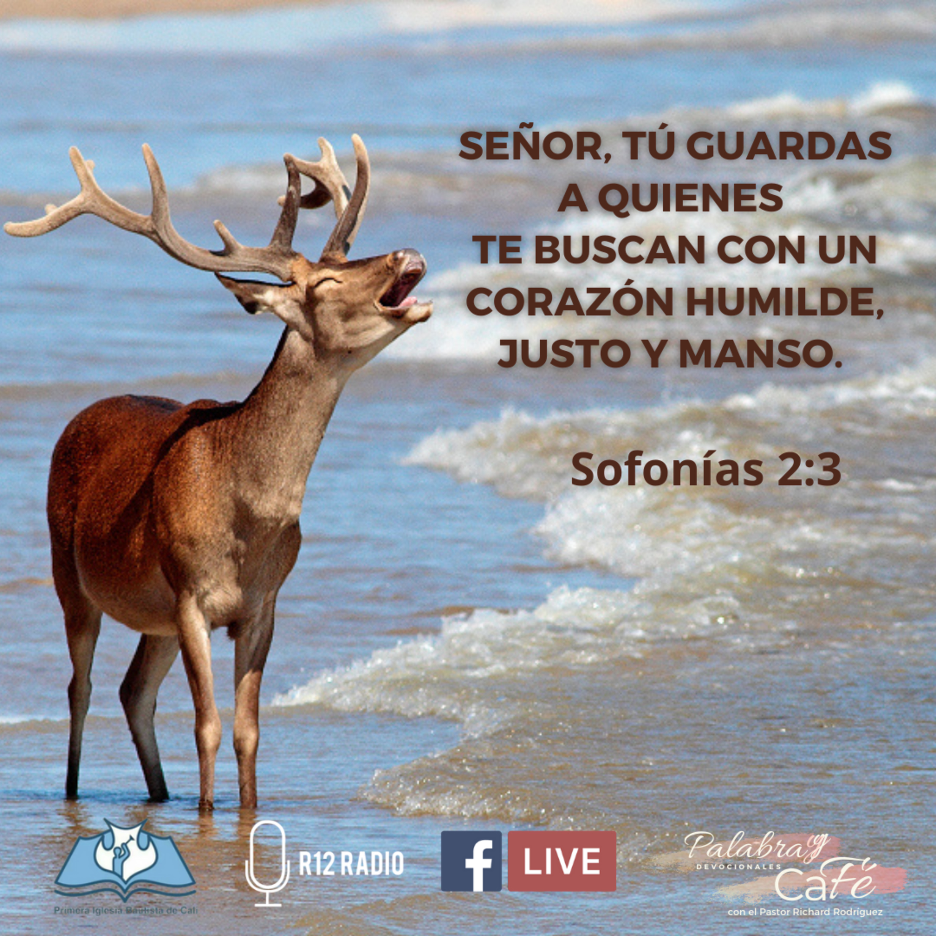 SEÑOR, TÚ GUARDAS A QUIENES TE BUSCAN CON UN CORAZÓN HUMILDE, JUSTO Y MANSO. Sofonías 2:3 episode artwork