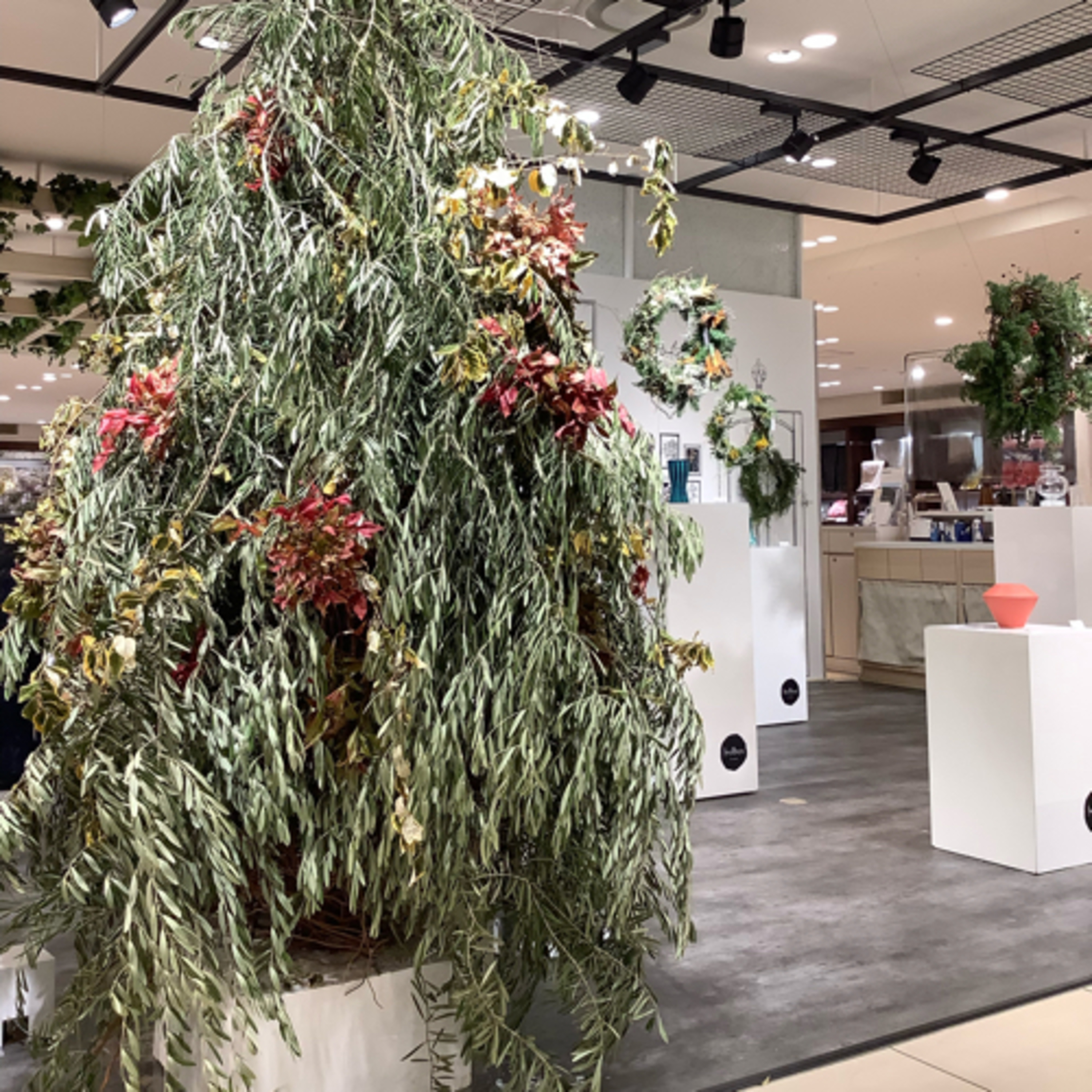 「Wonderful Green Christmas ～植物への愛を込めてデザインするクリスマス～」