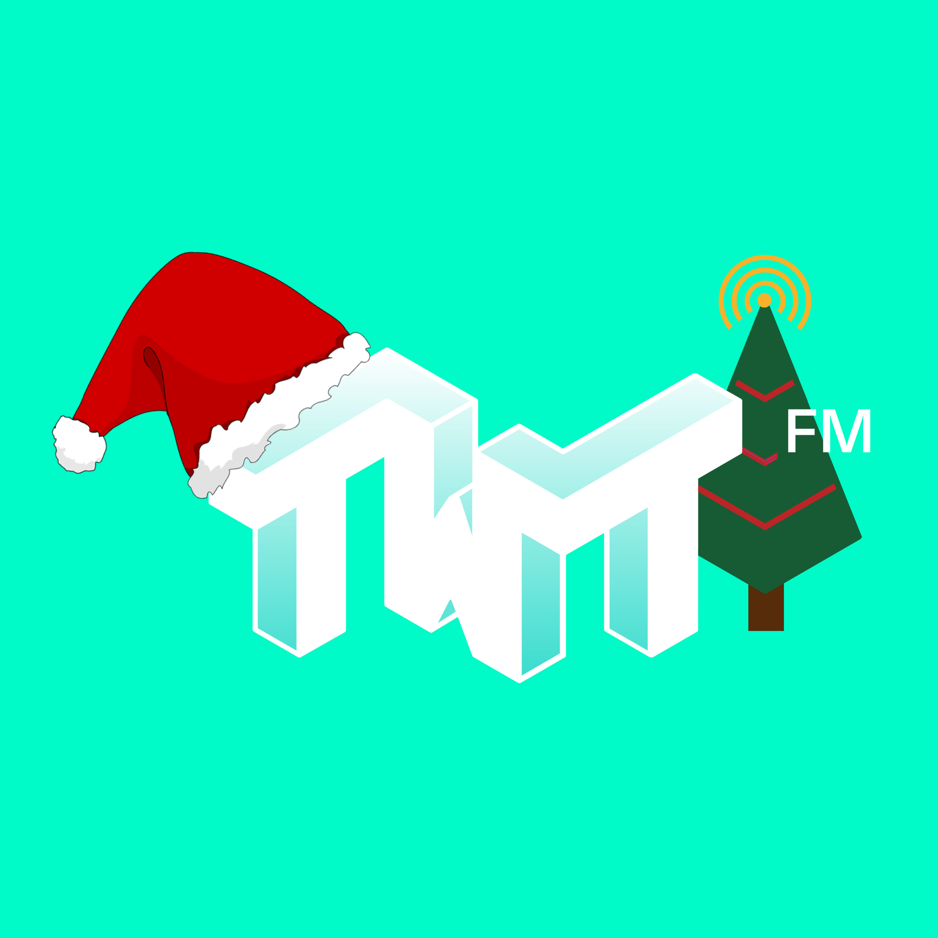 TWT FM