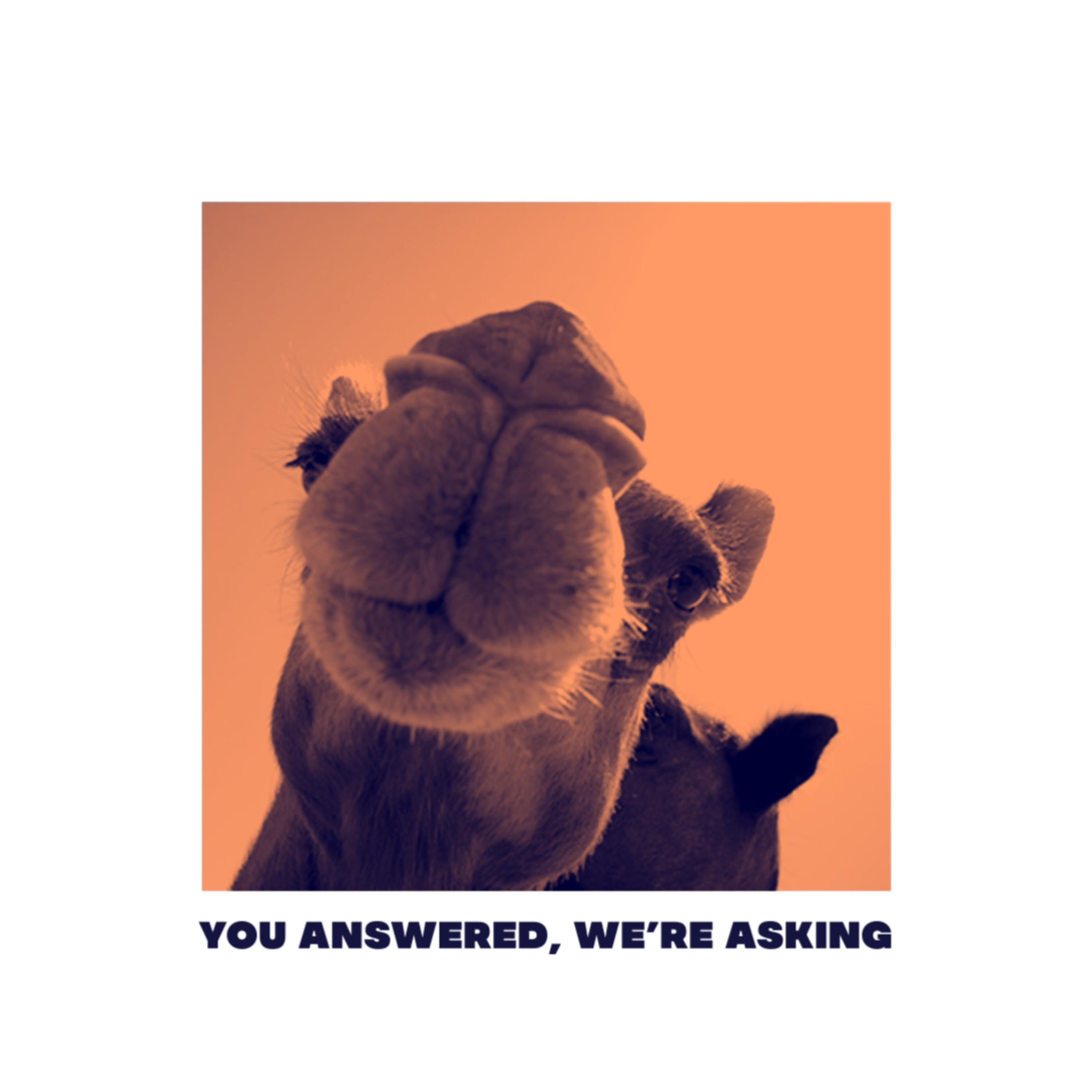You Answered, We\'re Asking