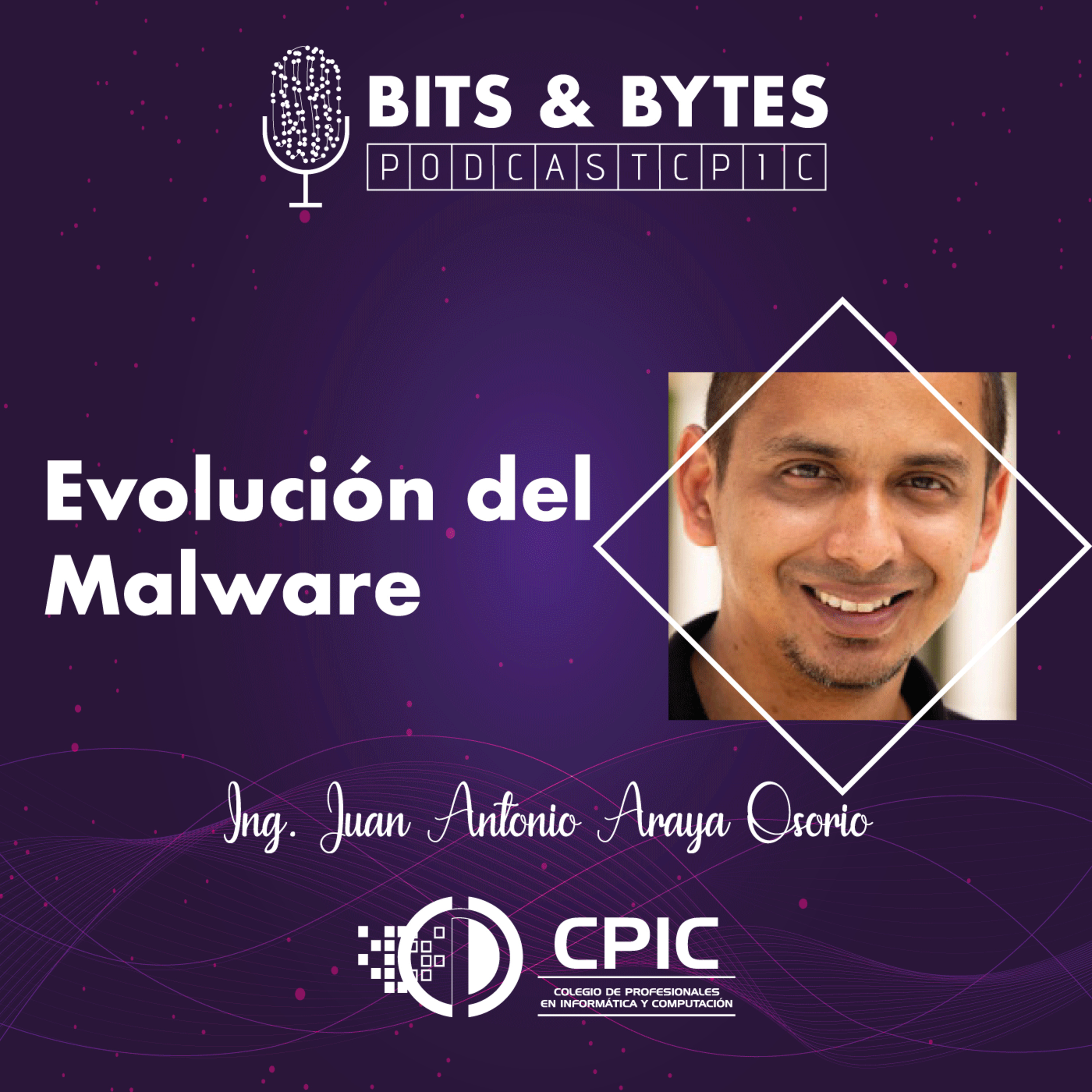 Bits & Bytes