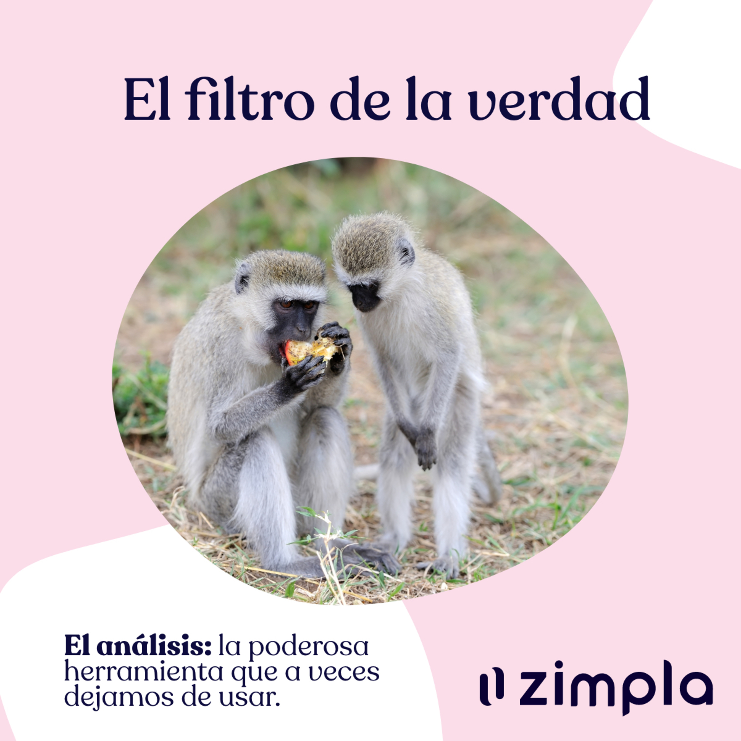 Zimpla