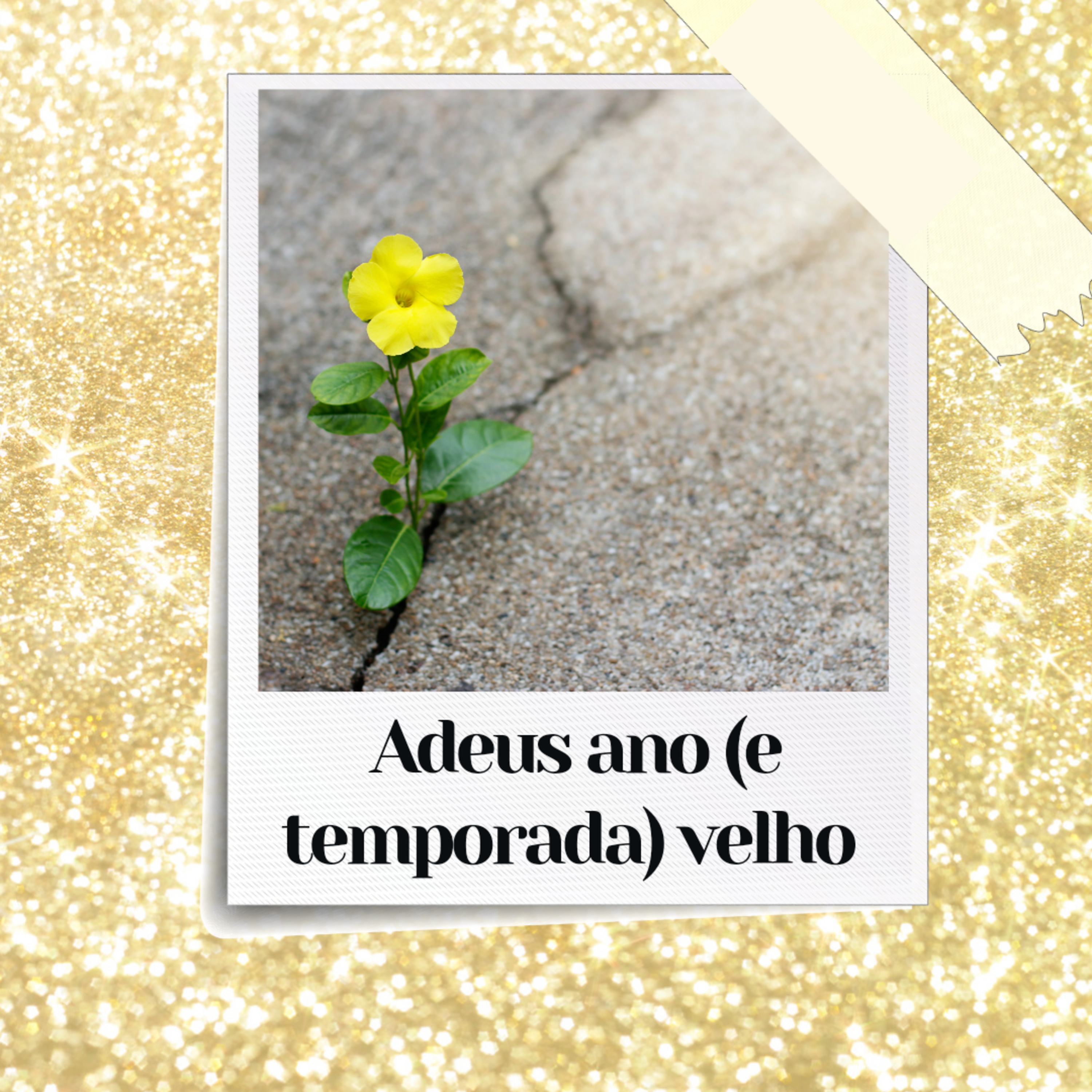 imperfeccionista