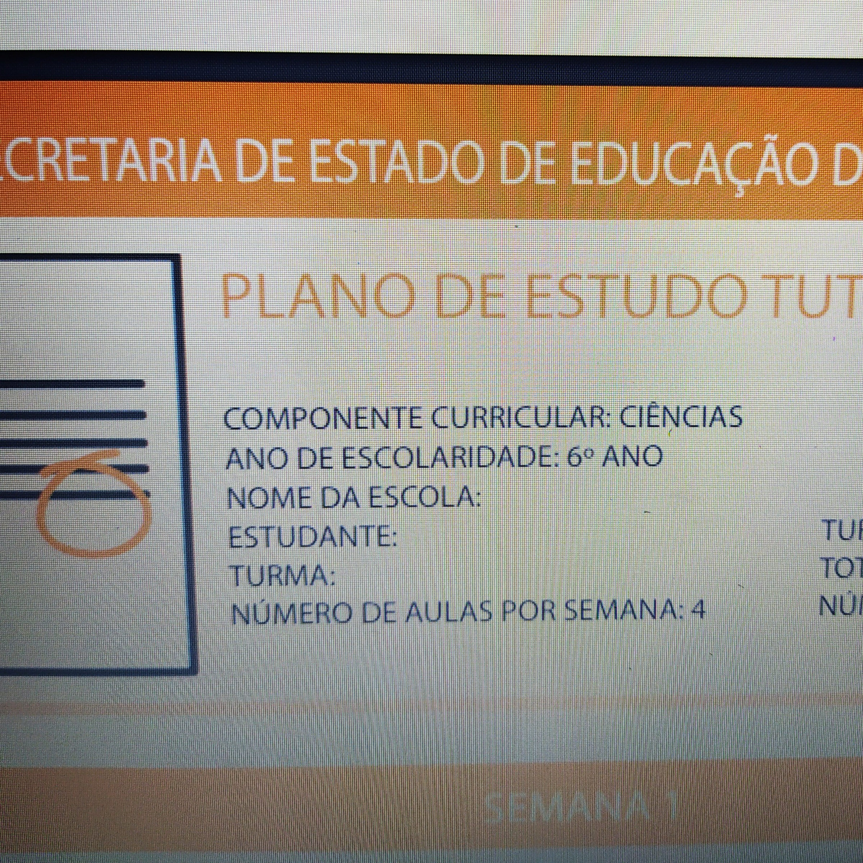 6ano
