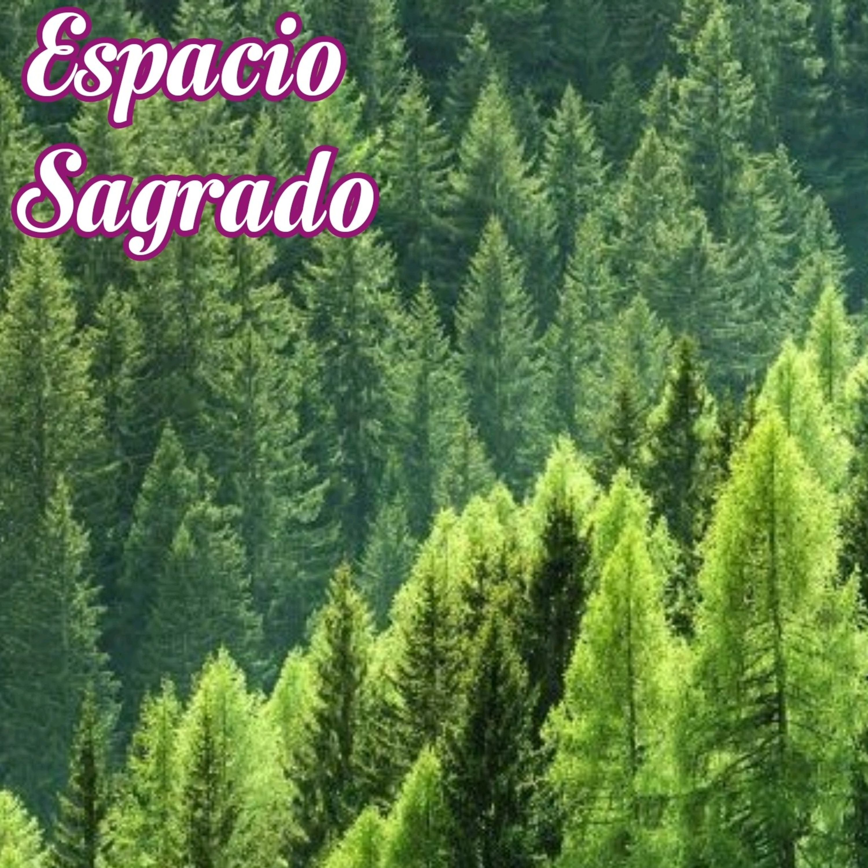 Espacio Sagrado: Un café con Chamán Javier