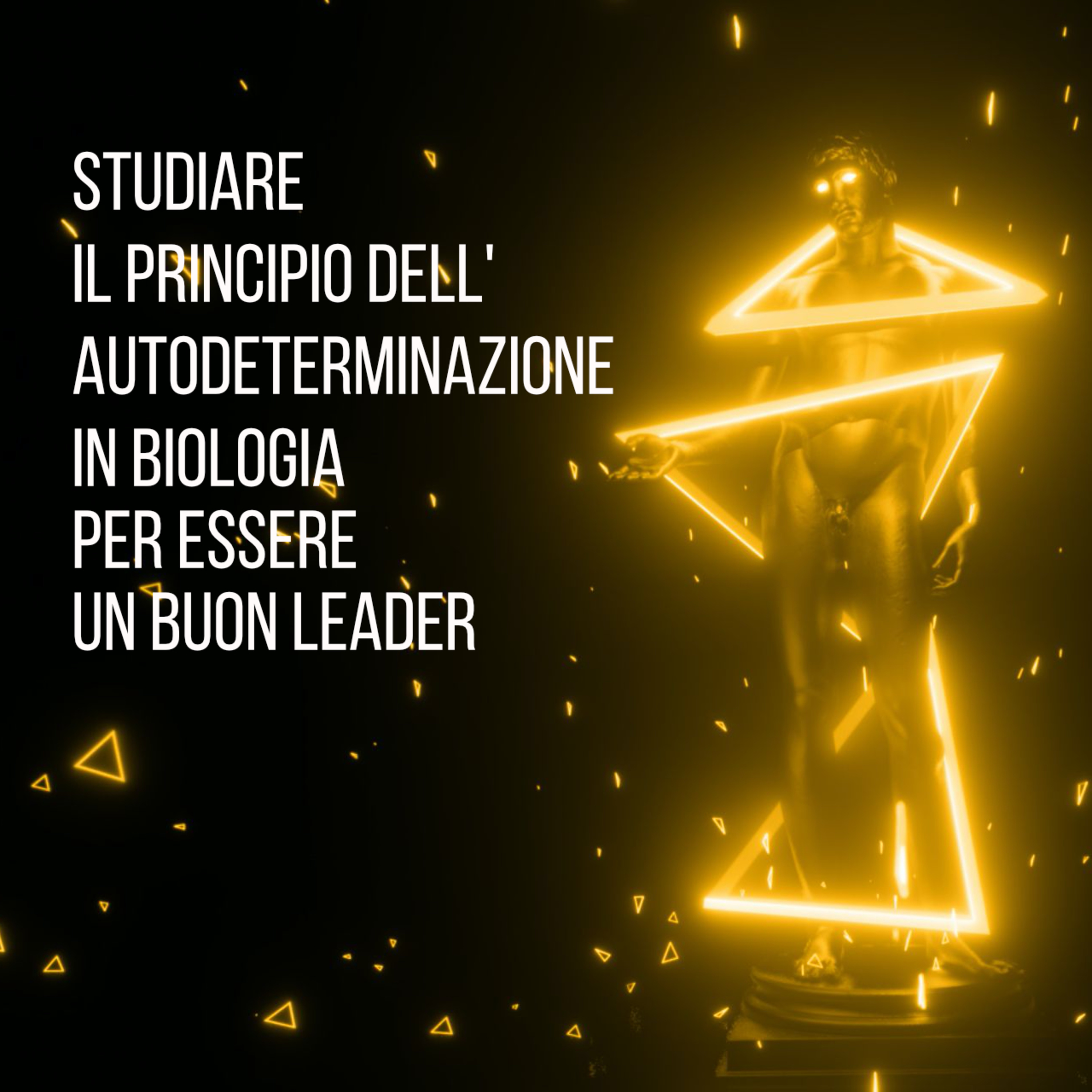LINKEDIN MARKETING ITALIA - GIOVANNI SALADINO