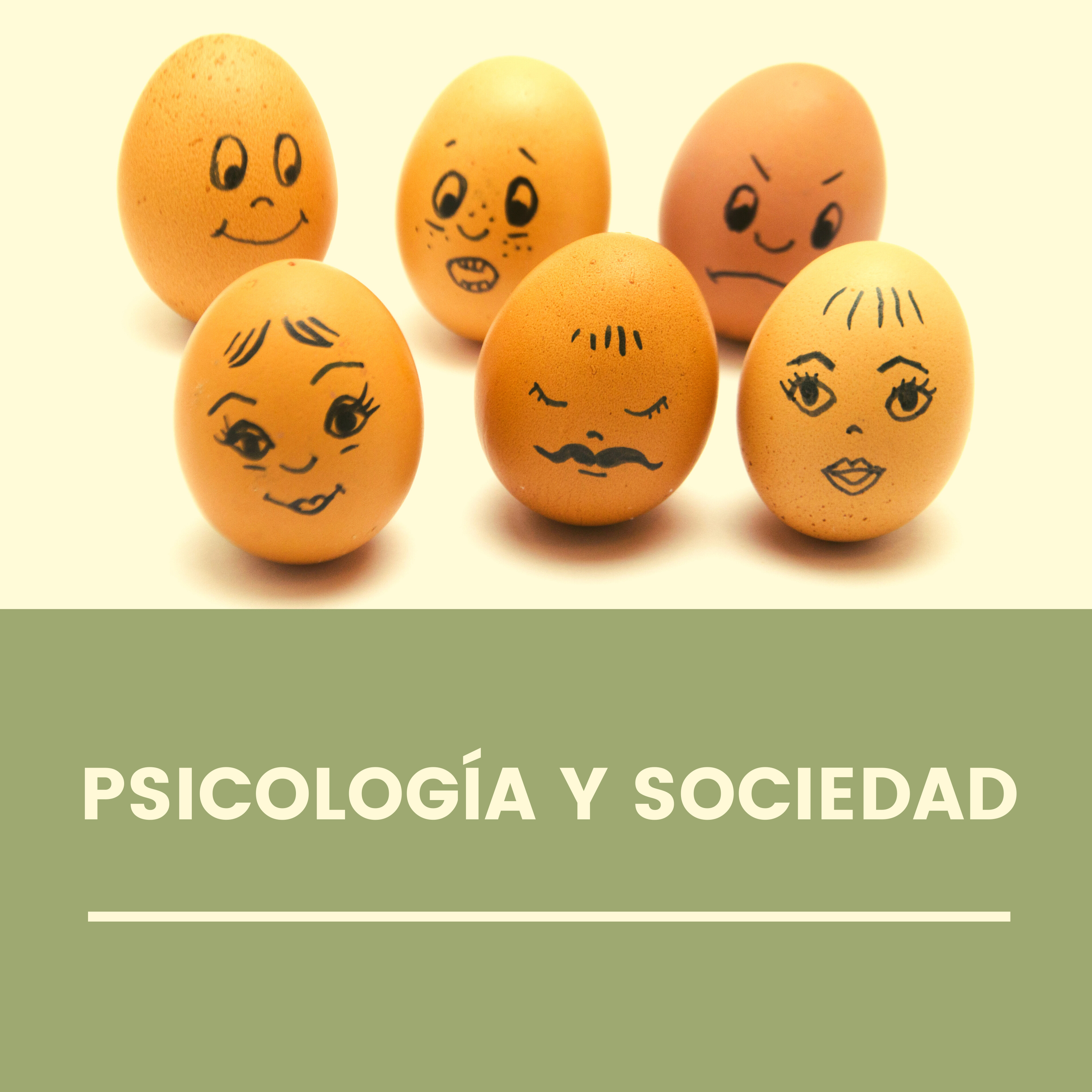 Estudio CULBI