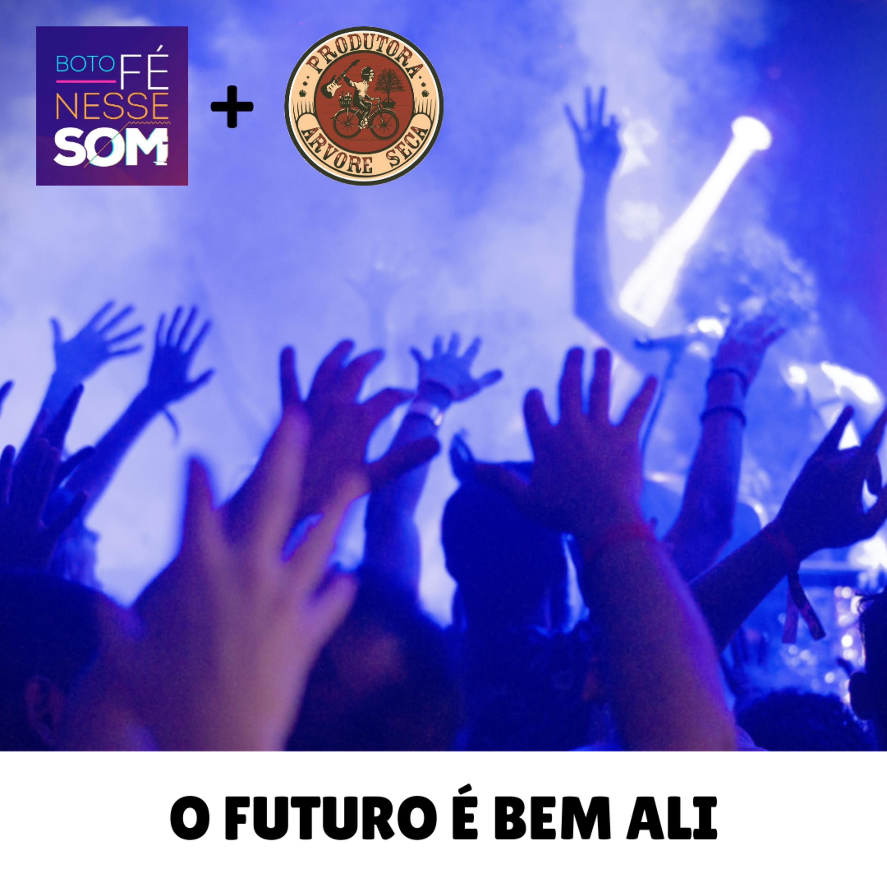 Boto Fé Nesse Som