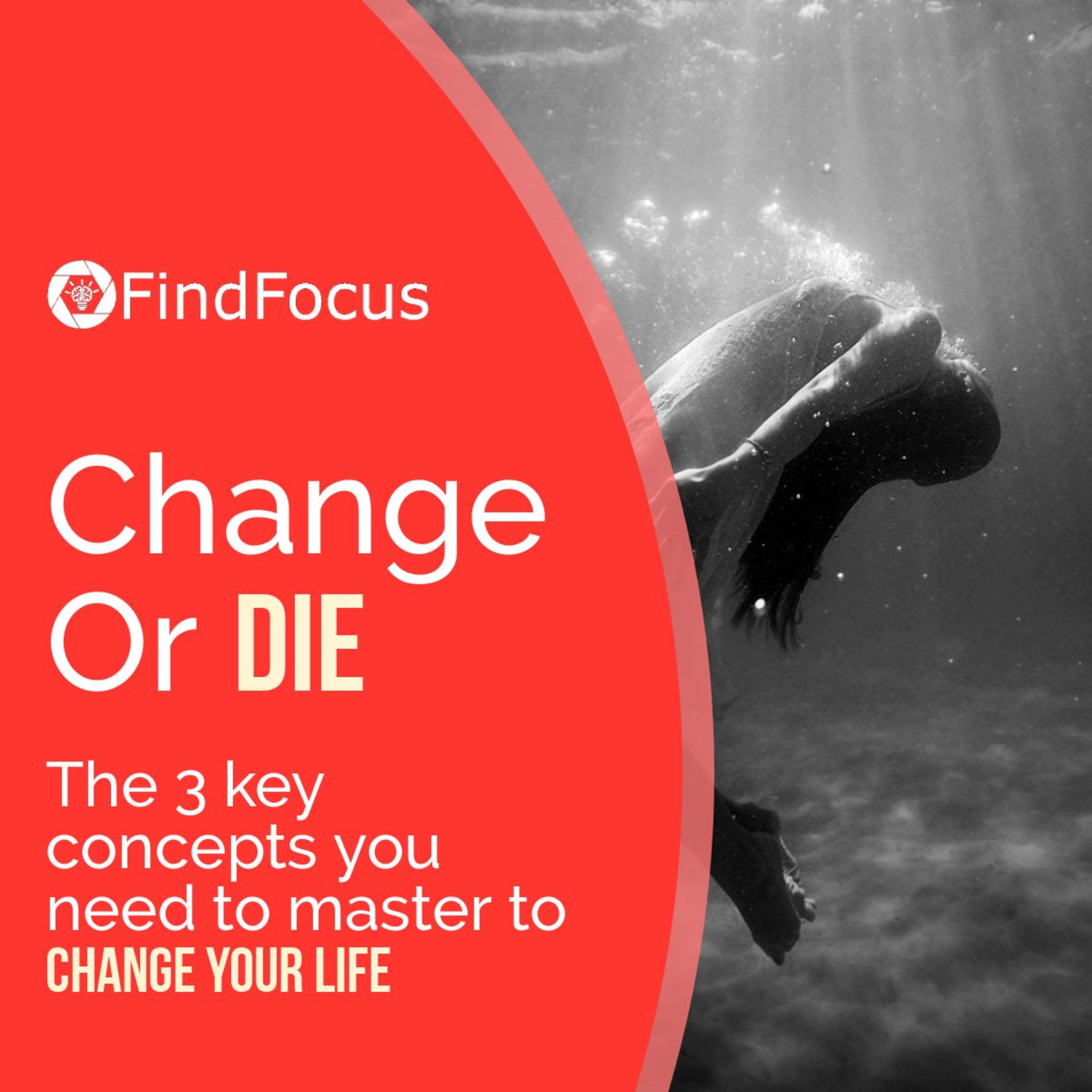 The FindFocus Podcast