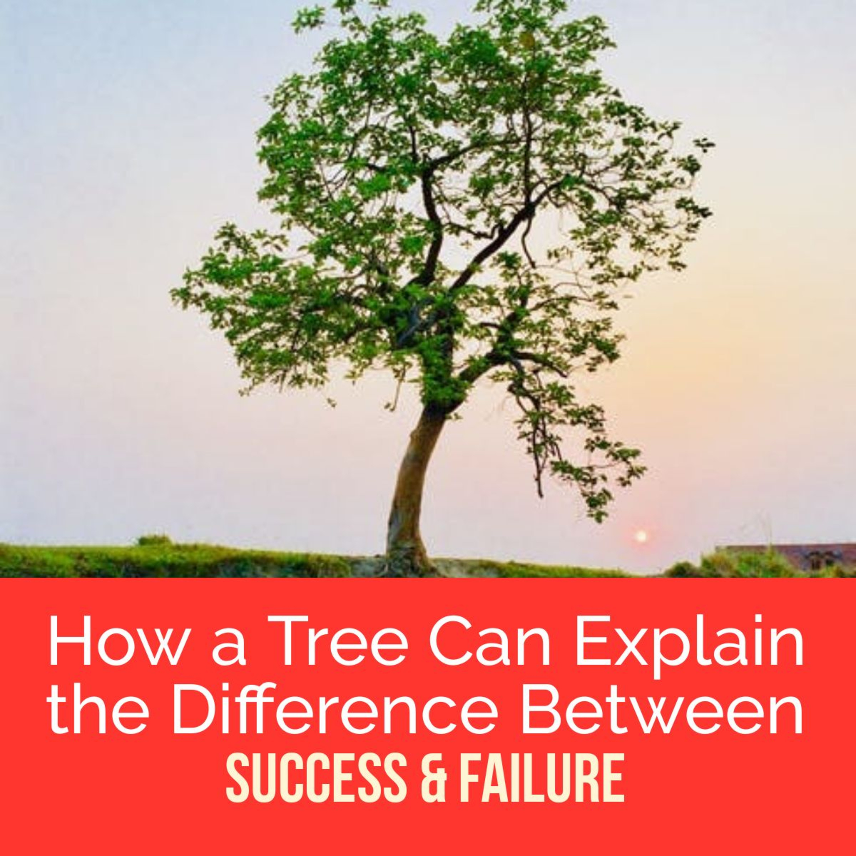 The FindFocus Podcast