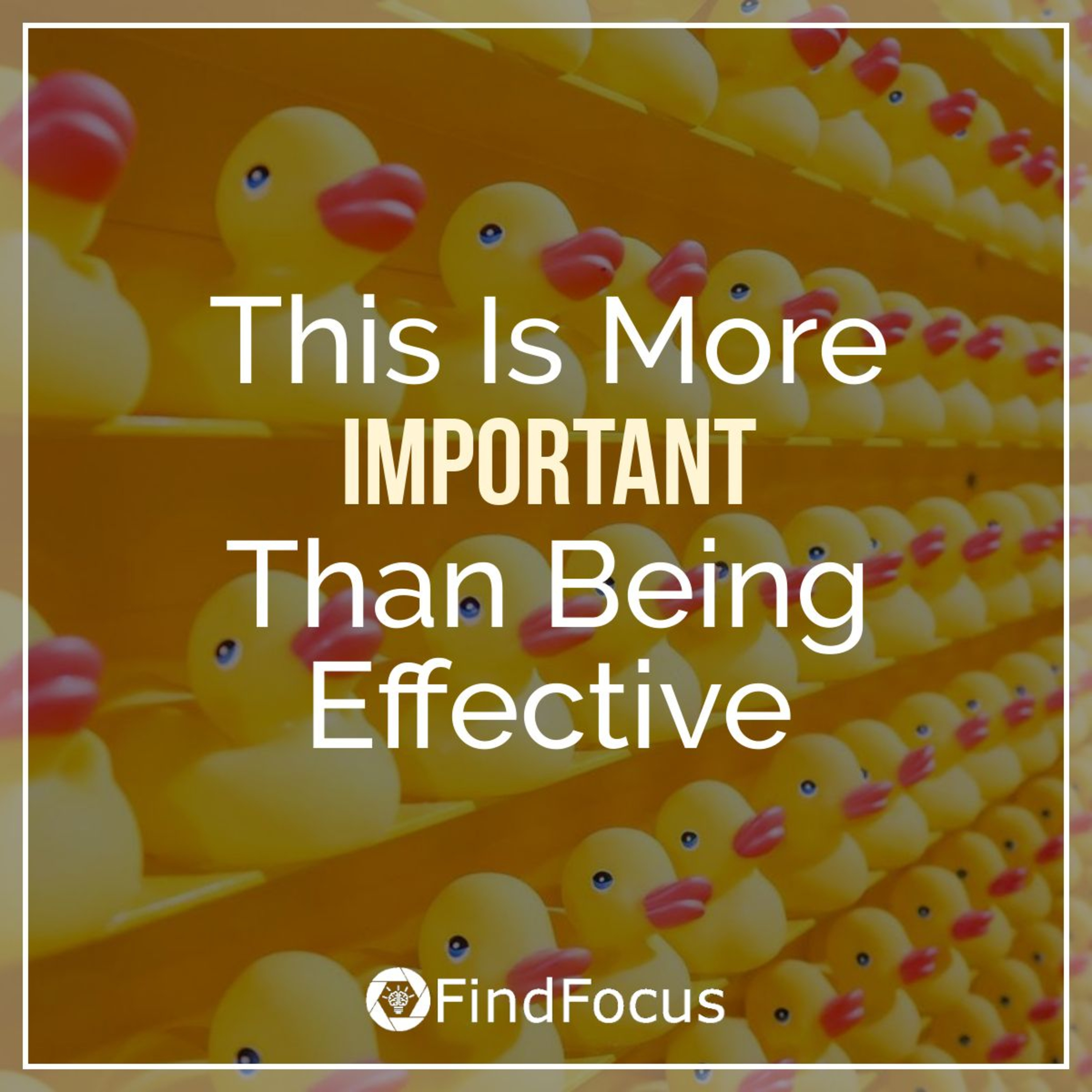 The FindFocus Podcast