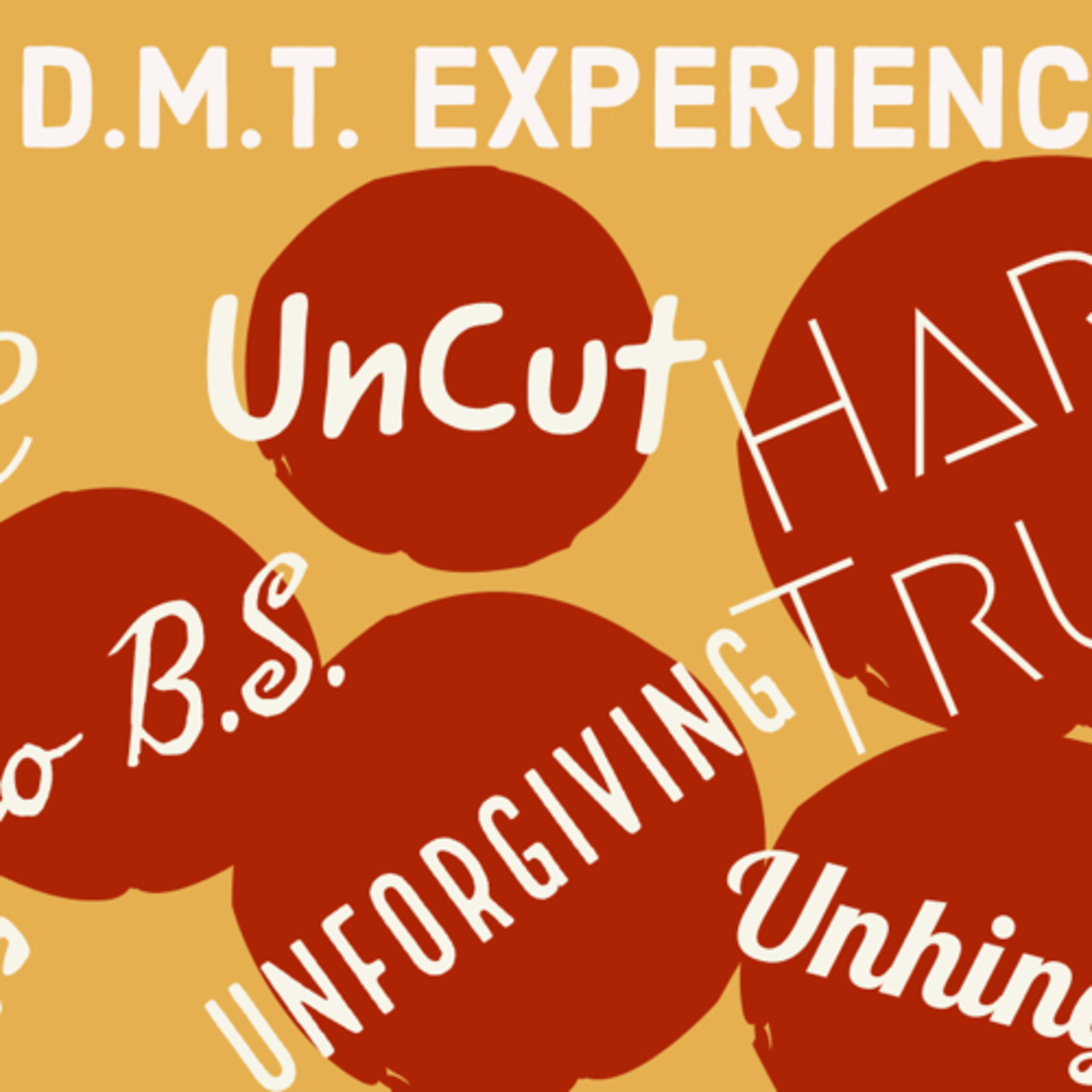 The D.M.T. Experience-Beta Test episode artwork