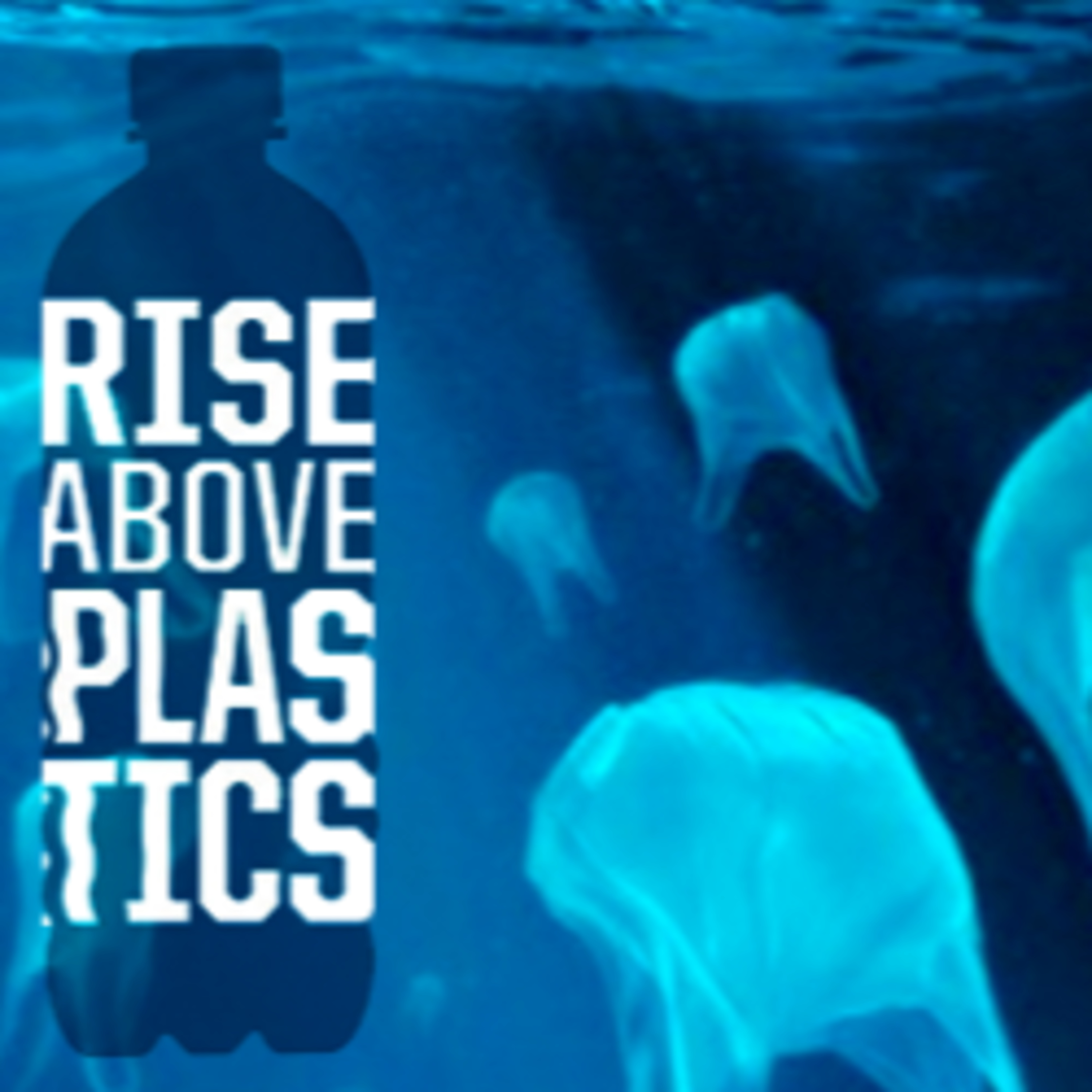 Surfrider Foundation