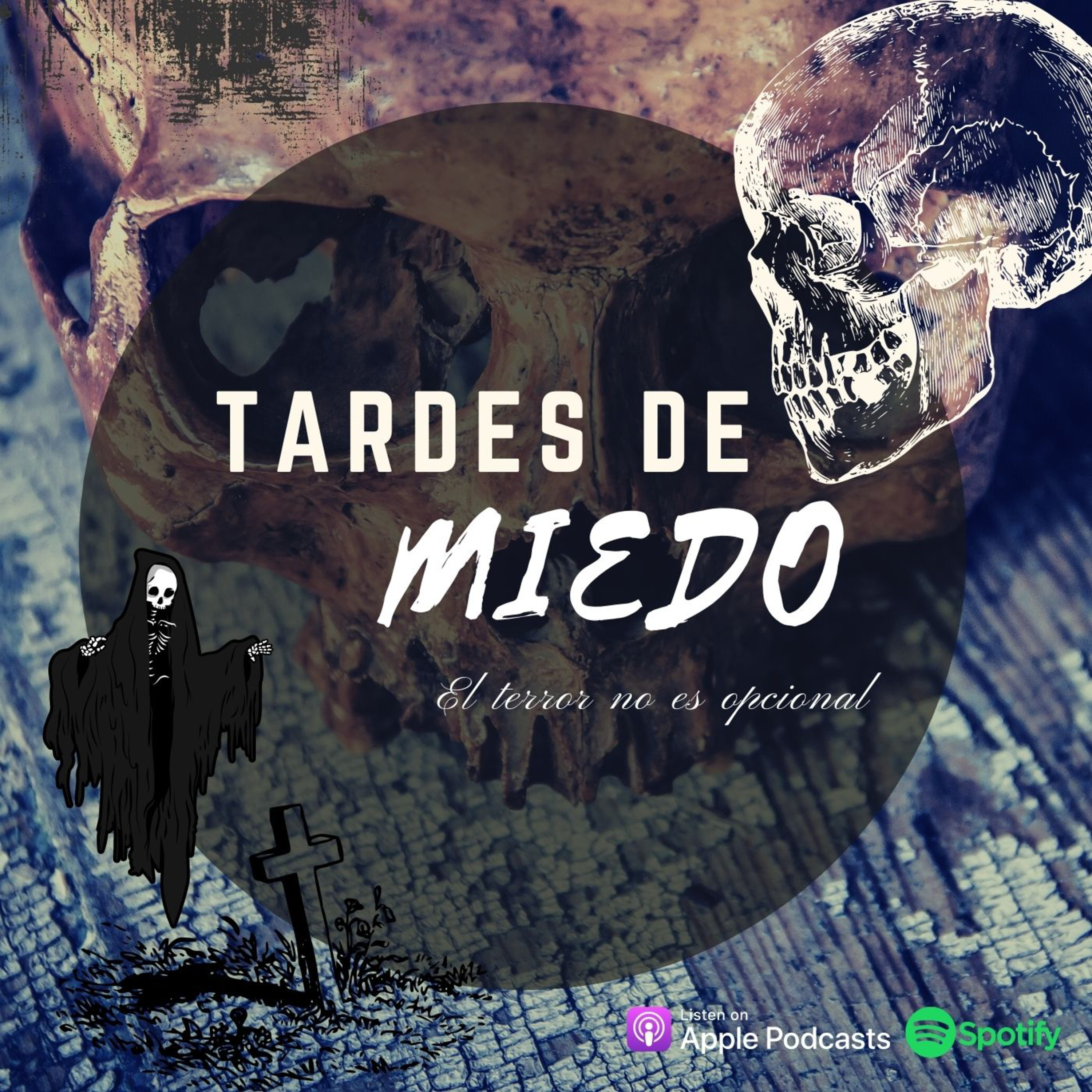 Tardes de miedo.  episode artwork