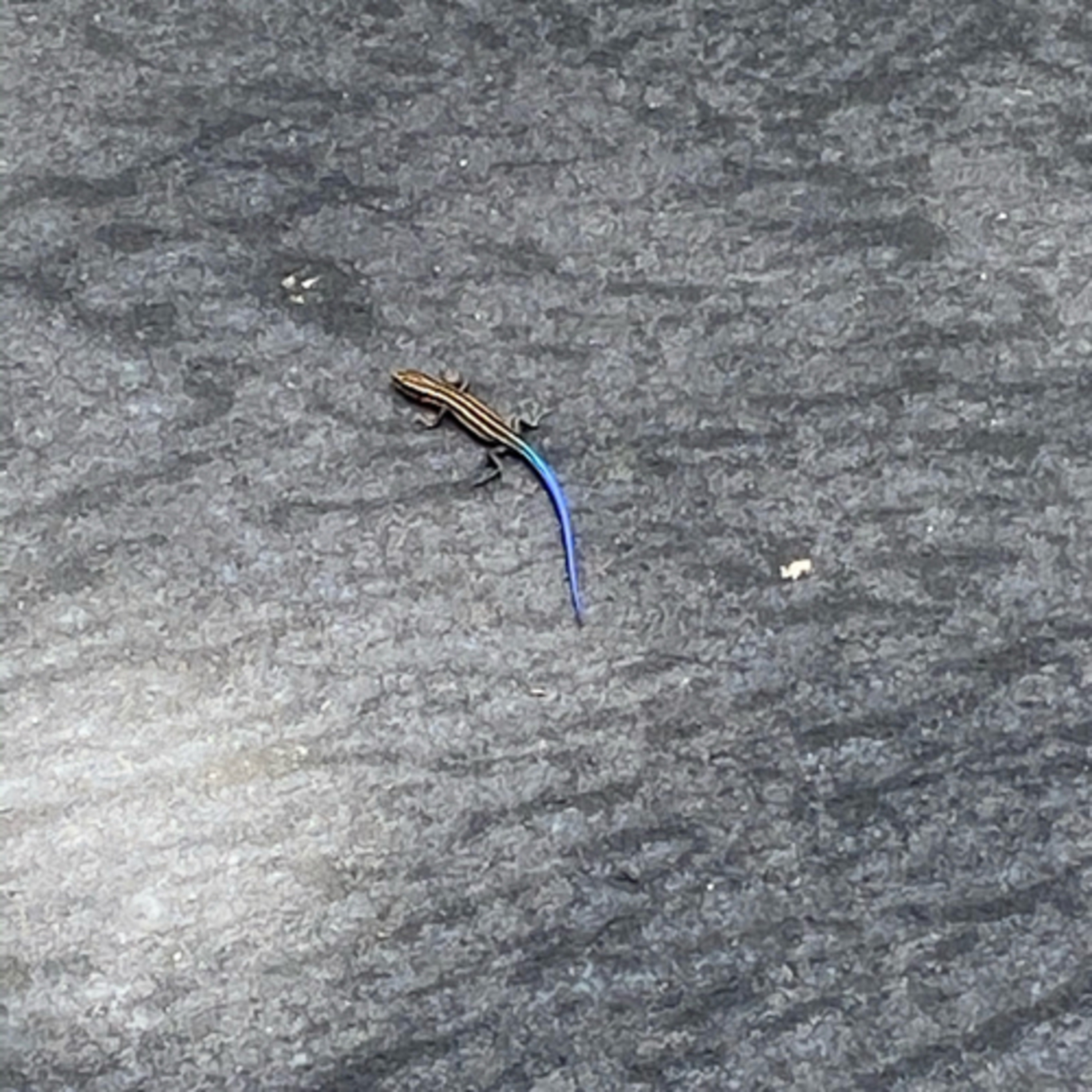 Worm Burnin