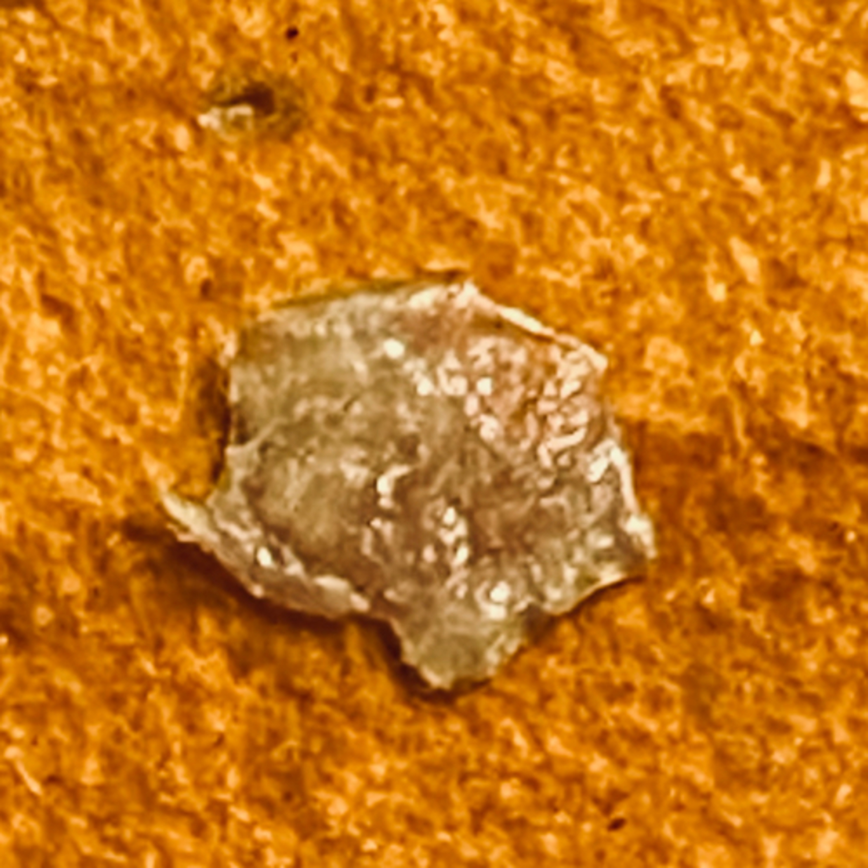 Morgellons Fiber Analysis