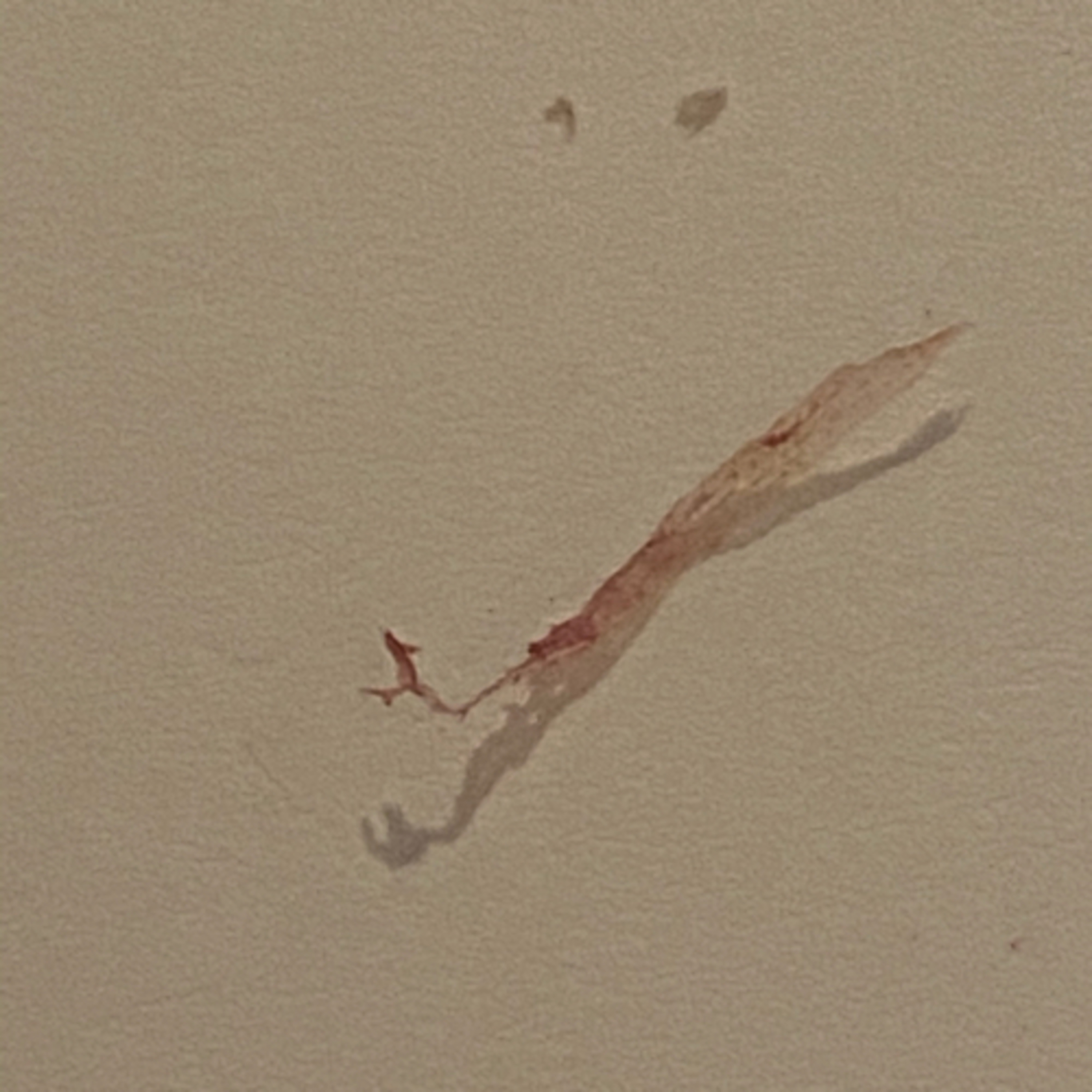 Morgellons in Masks